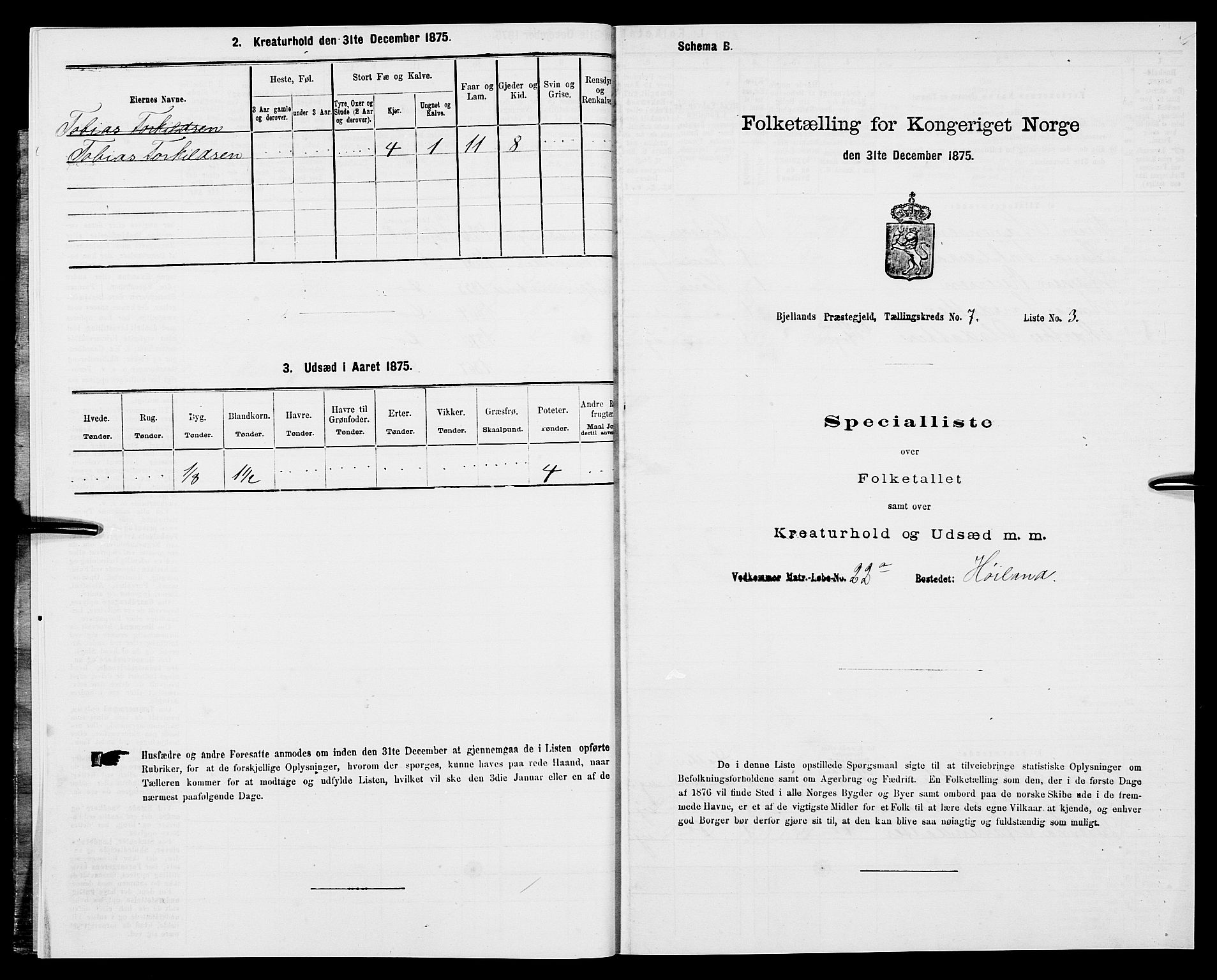 SAK, Folketelling 1875 for 1024P Bjelland prestegjeld, 1875, s. 395