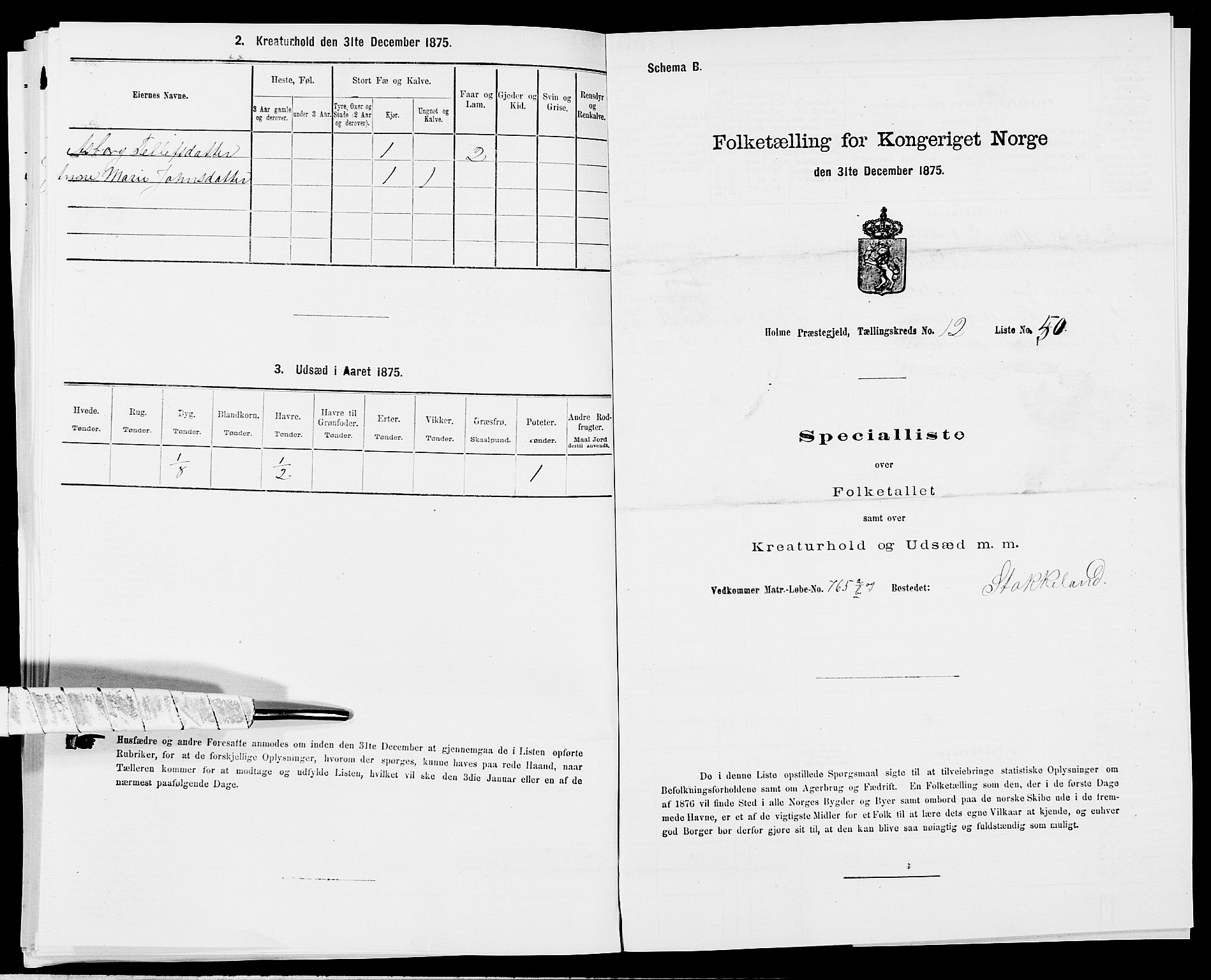 SAK, Folketelling 1875 for 1020P Holum prestegjeld, 1875, s. 1322