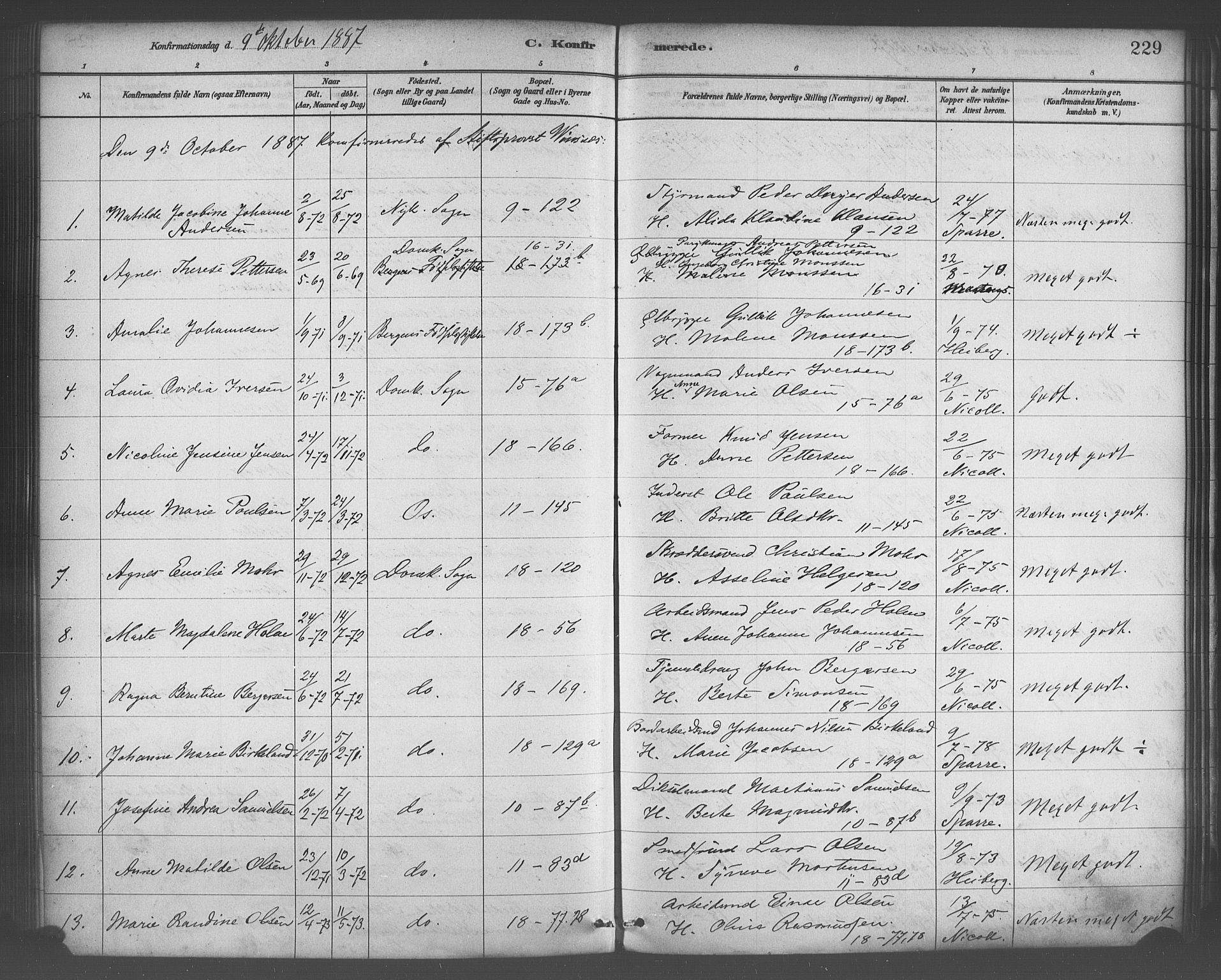 Domkirken sokneprestembete, AV/SAB-A-74801/H/Haa/L0030: Ministerialbok nr. C 5, 1880-1898, s. 229