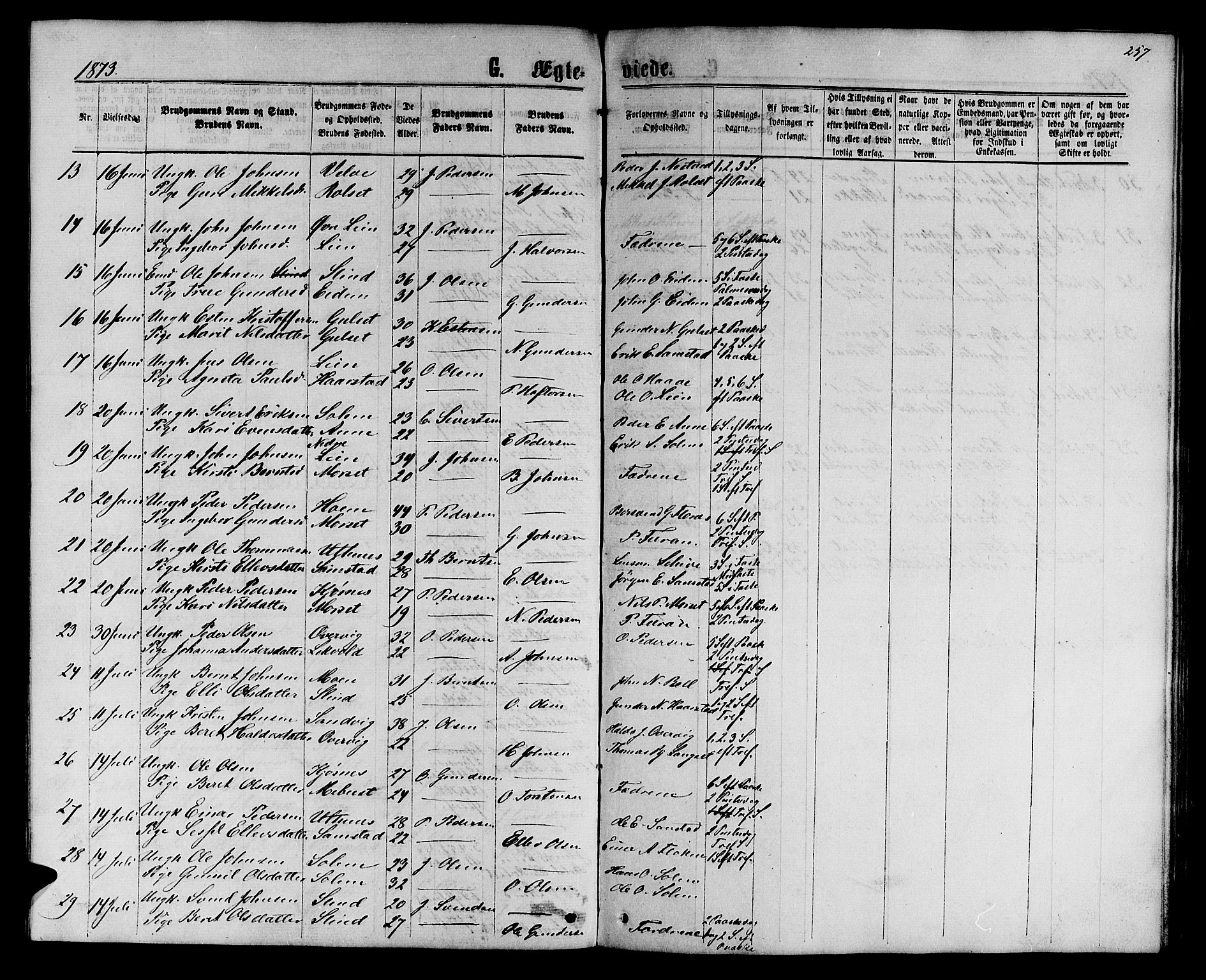 Ministerialprotokoller, klokkerbøker og fødselsregistre - Sør-Trøndelag, AV/SAT-A-1456/695/L1156: Klokkerbok nr. 695C07, 1869-1888, s. 257