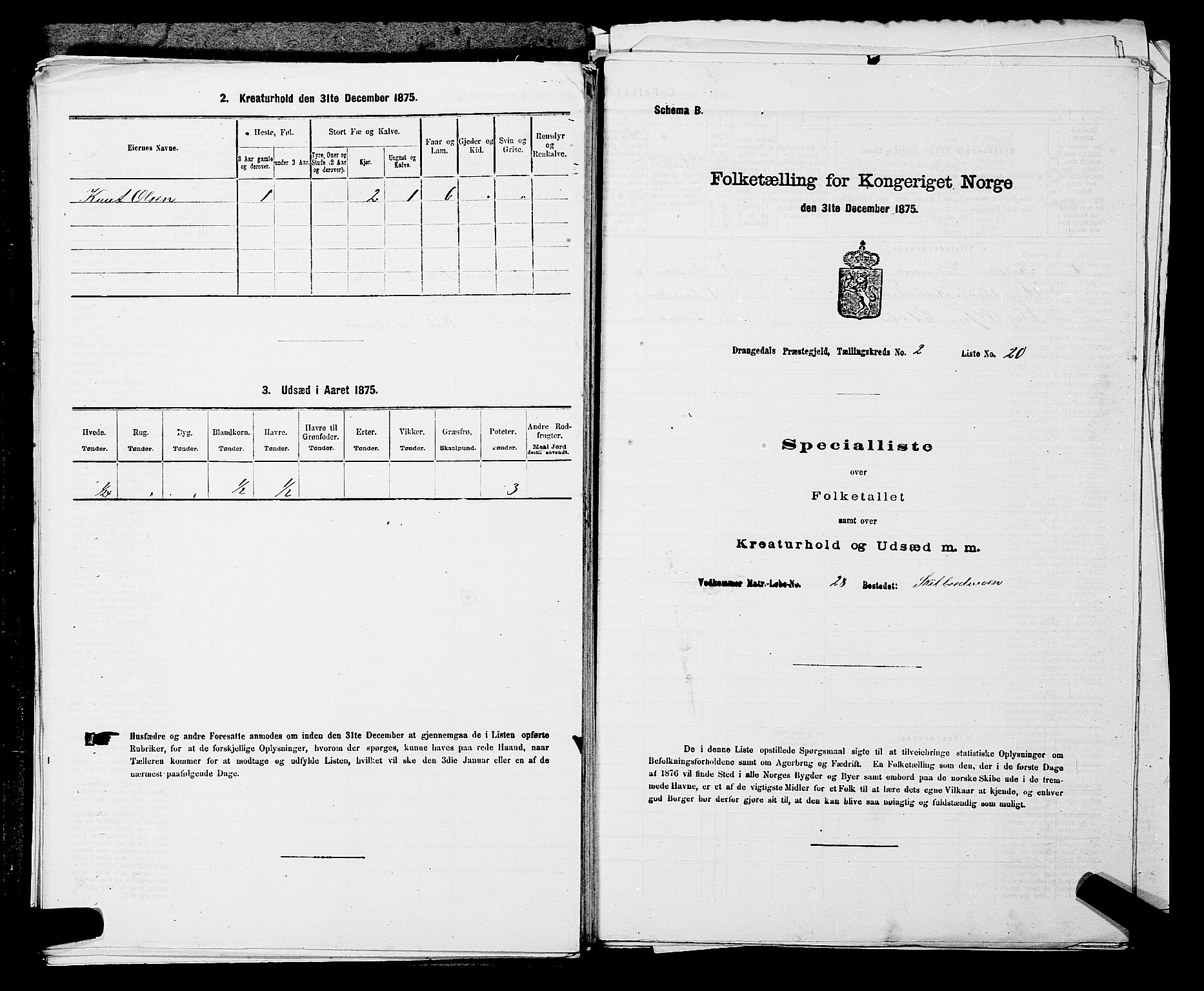 SAKO, Folketelling 1875 for 0817P Drangedal prestegjeld, 1875, s. 272