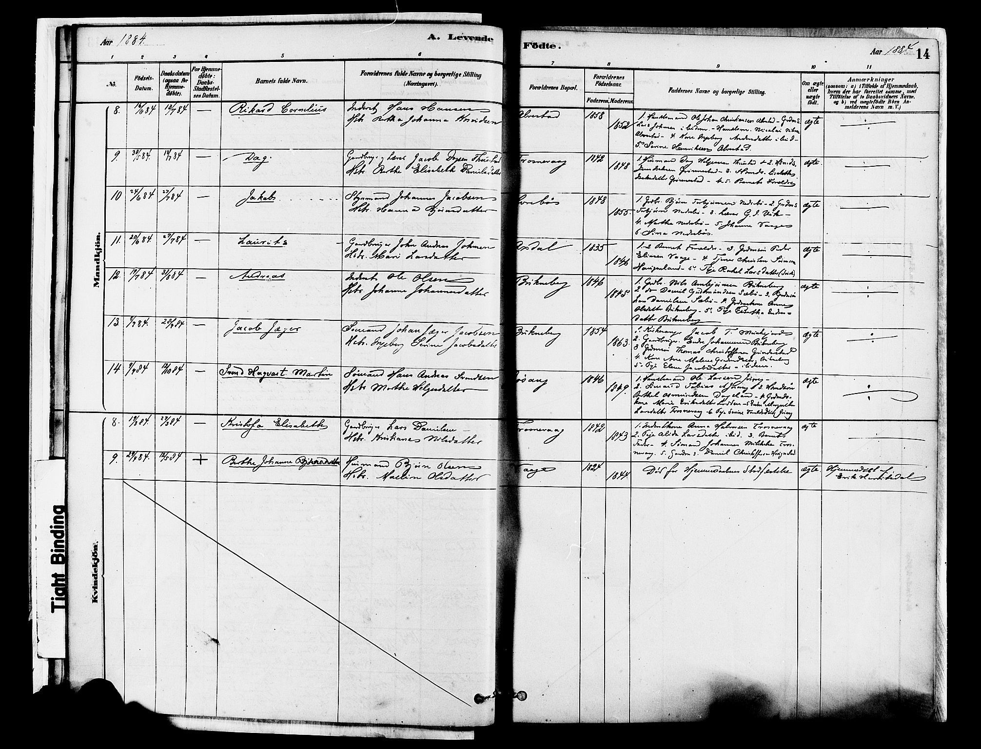 Tysvær sokneprestkontor, SAST/A -101864/H/Ha/Haa/L0007: Ministerialbok nr. A 7, 1878-1897, s. 14