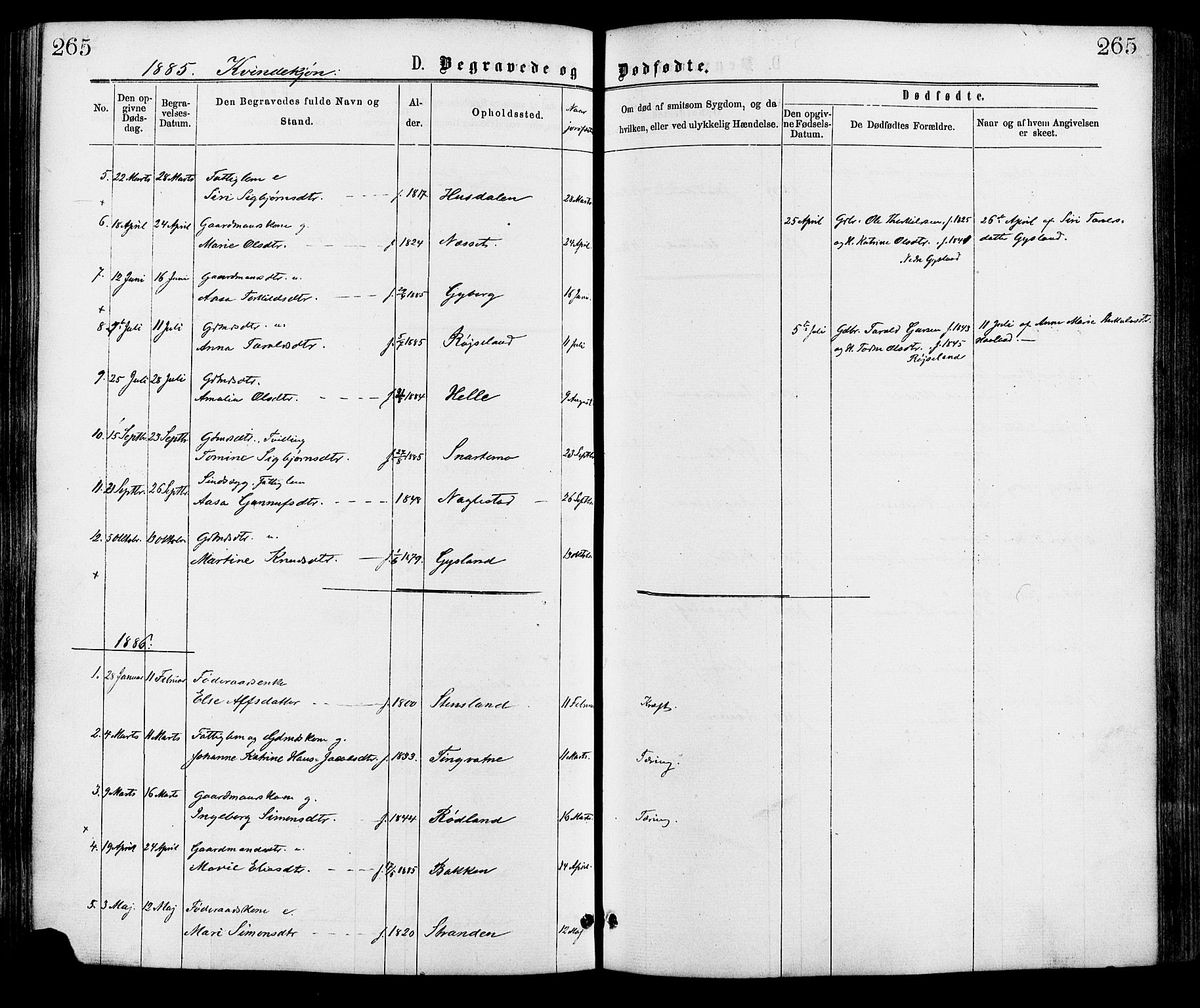 Hægebostad sokneprestkontor, SAK/1111-0024/F/Fa/Faa/L0005: Ministerialbok nr. A 5, 1864-1886, s. 265