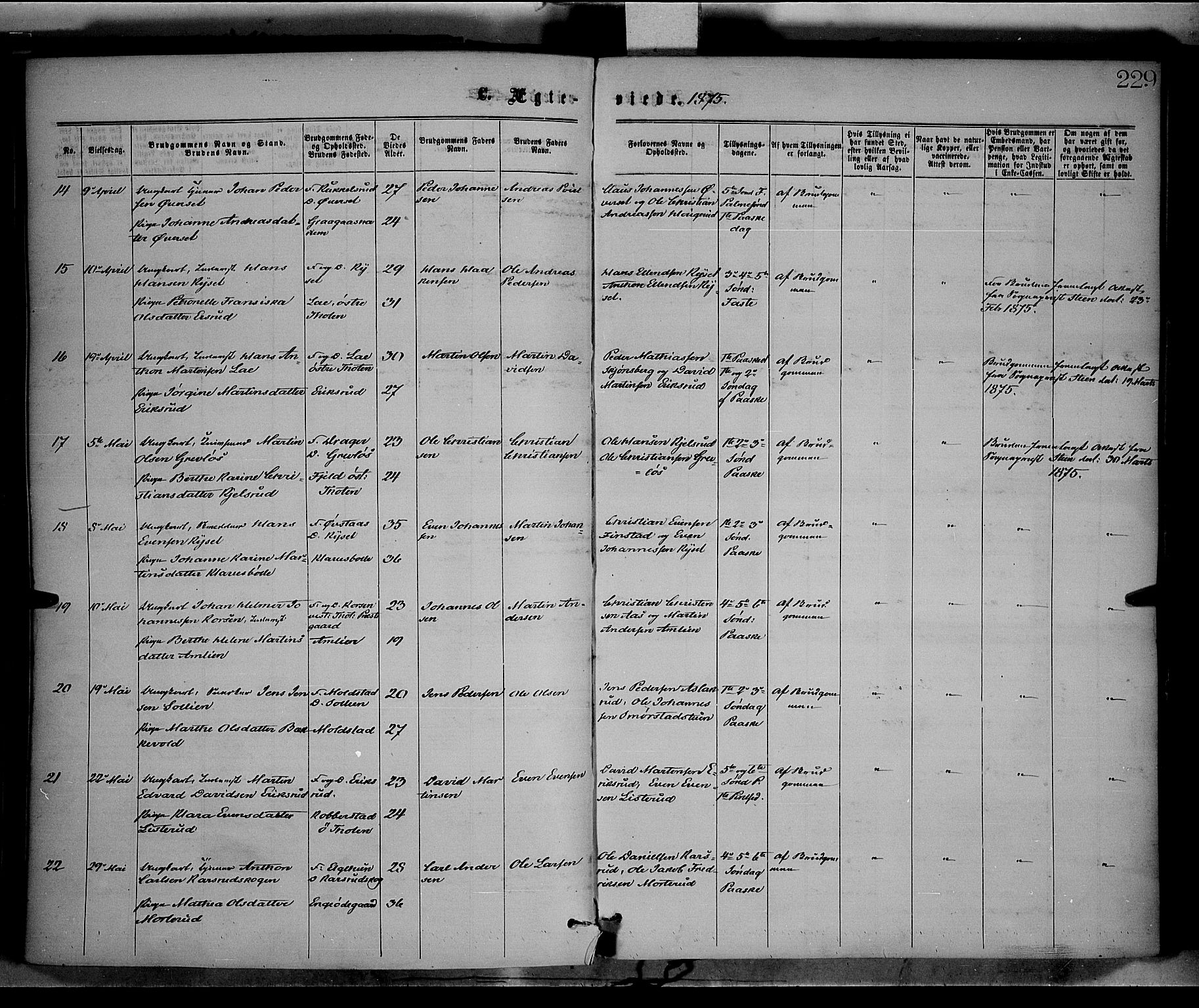 Vestre Toten prestekontor, SAH/PREST-108/H/Ha/Haa/L0008: Ministerialbok nr. 8, 1870-1877, s. 229
