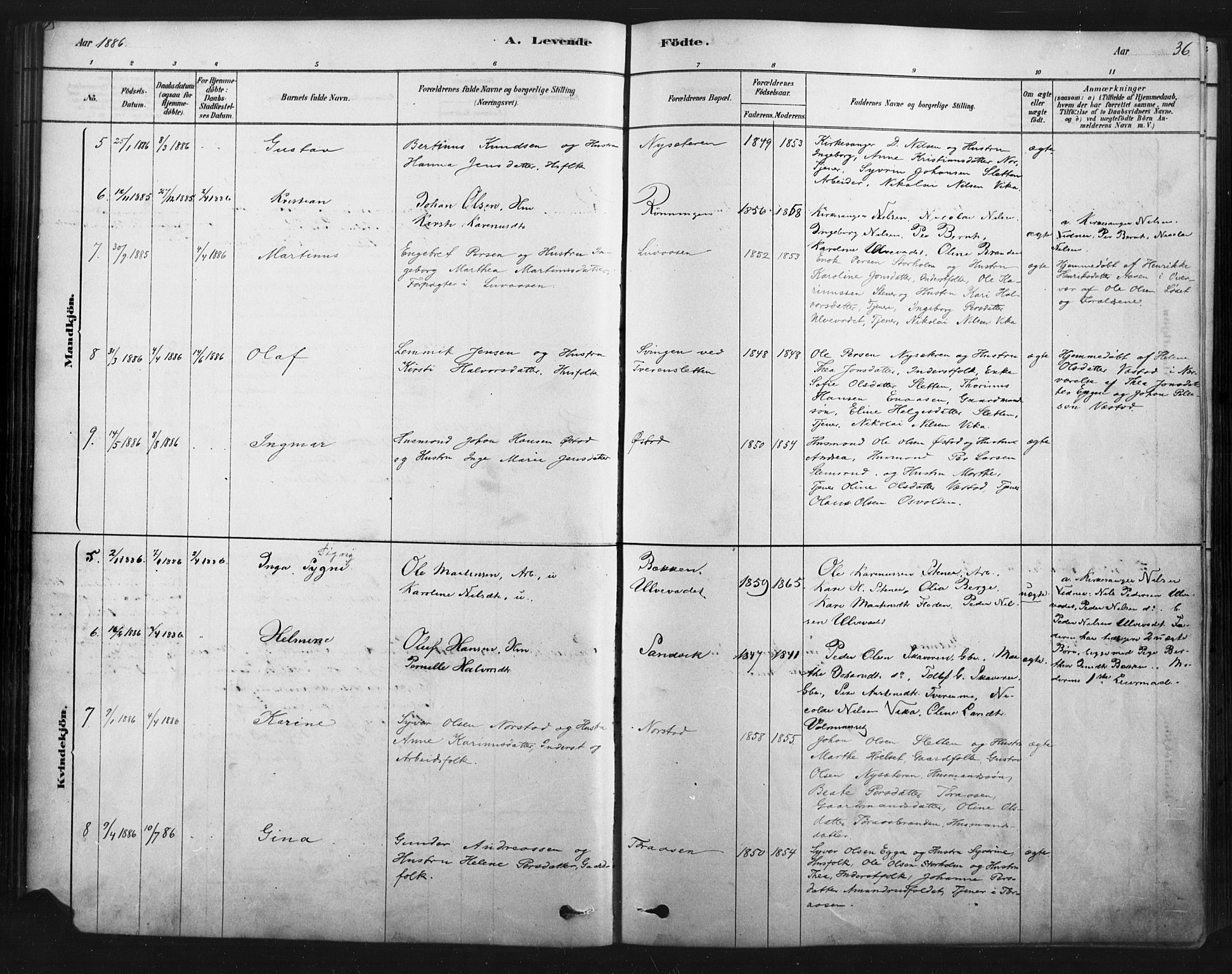 Åmot prestekontor, Hedmark, SAH/PREST-056/H/Ha/Haa/L0012: Ministerialbok nr. 12, 1878-1901, s. 36