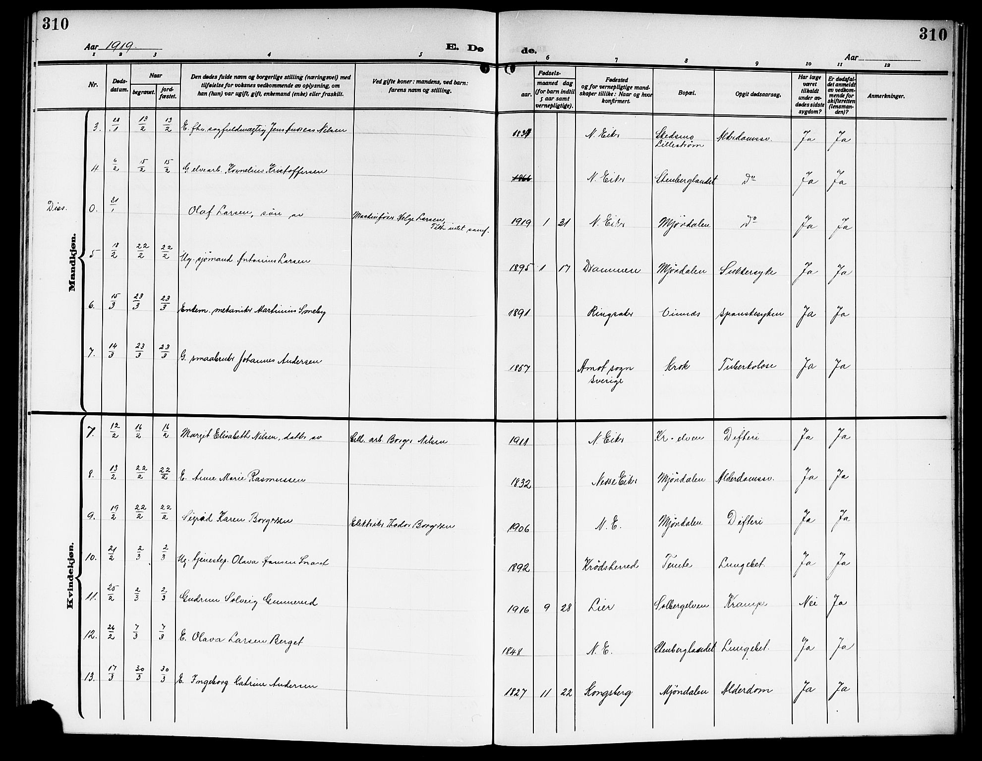 Nedre Eiker kirkebøker, AV/SAKO-A-612/G/Ga/L0005: Klokkerbok nr. 5, 1913-1921, s. 310