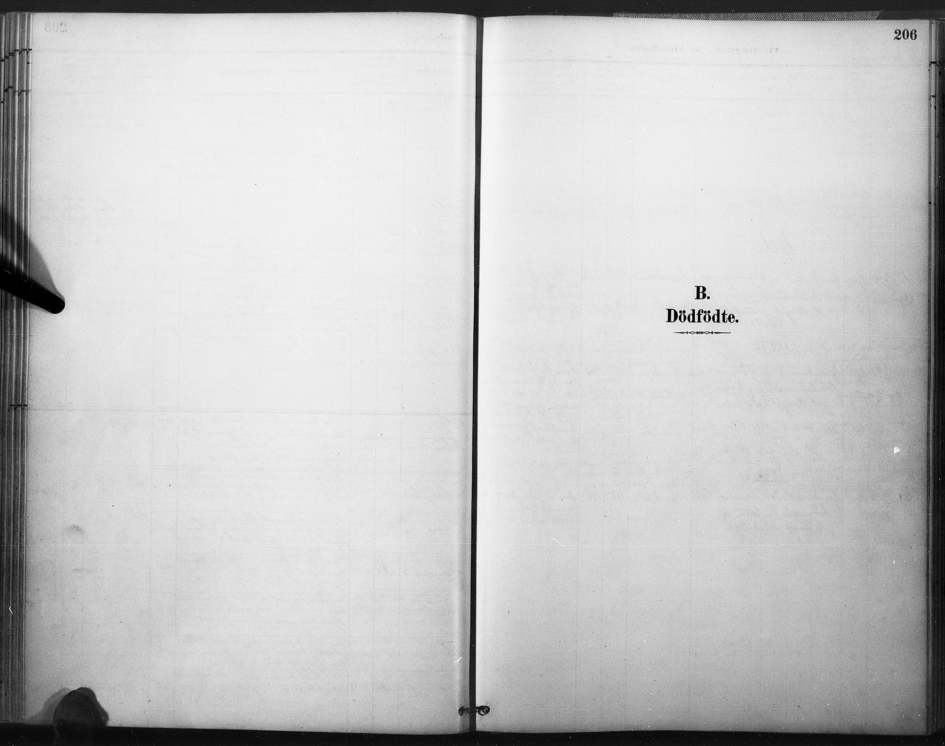 Åmli sokneprestkontor, AV/SAK-1111-0050/F/Fa/Fac/L0010: Ministerialbok nr. A 10 /2, 1885-1899, s. 206