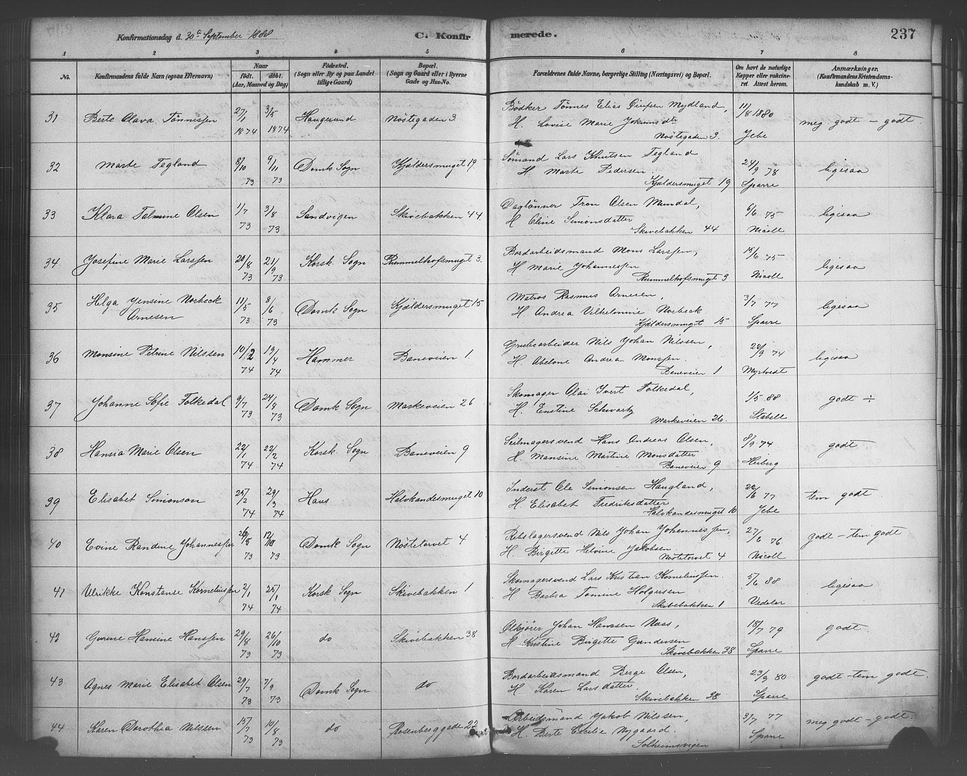 Domkirken sokneprestembete, AV/SAB-A-74801/H/Haa/L0030: Ministerialbok nr. C 5, 1880-1898, s. 237