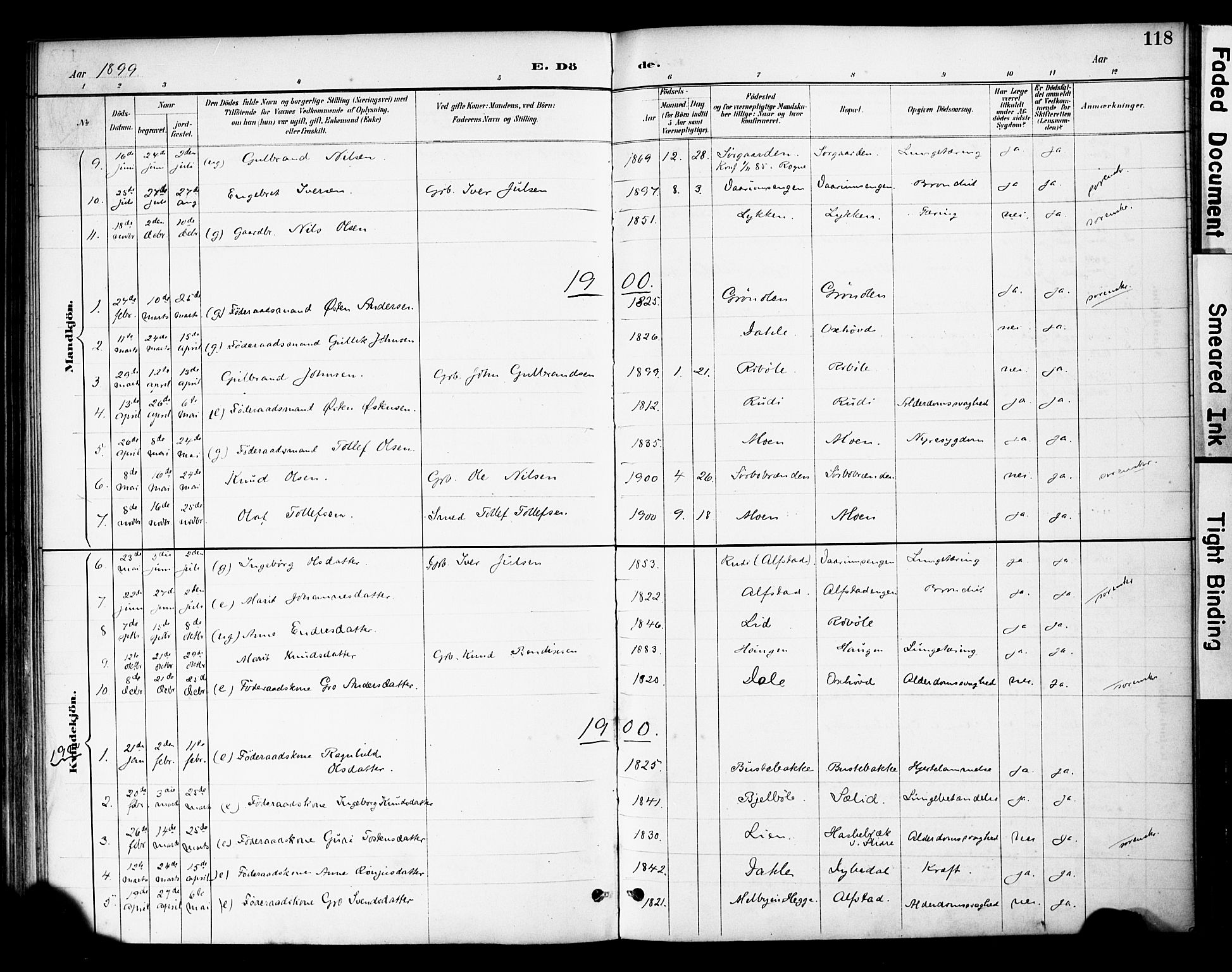 Øystre Slidre prestekontor, AV/SAH-PREST-138/H/Ha/Haa/L0004: Ministerialbok nr. 4, 1887-1910, s. 118