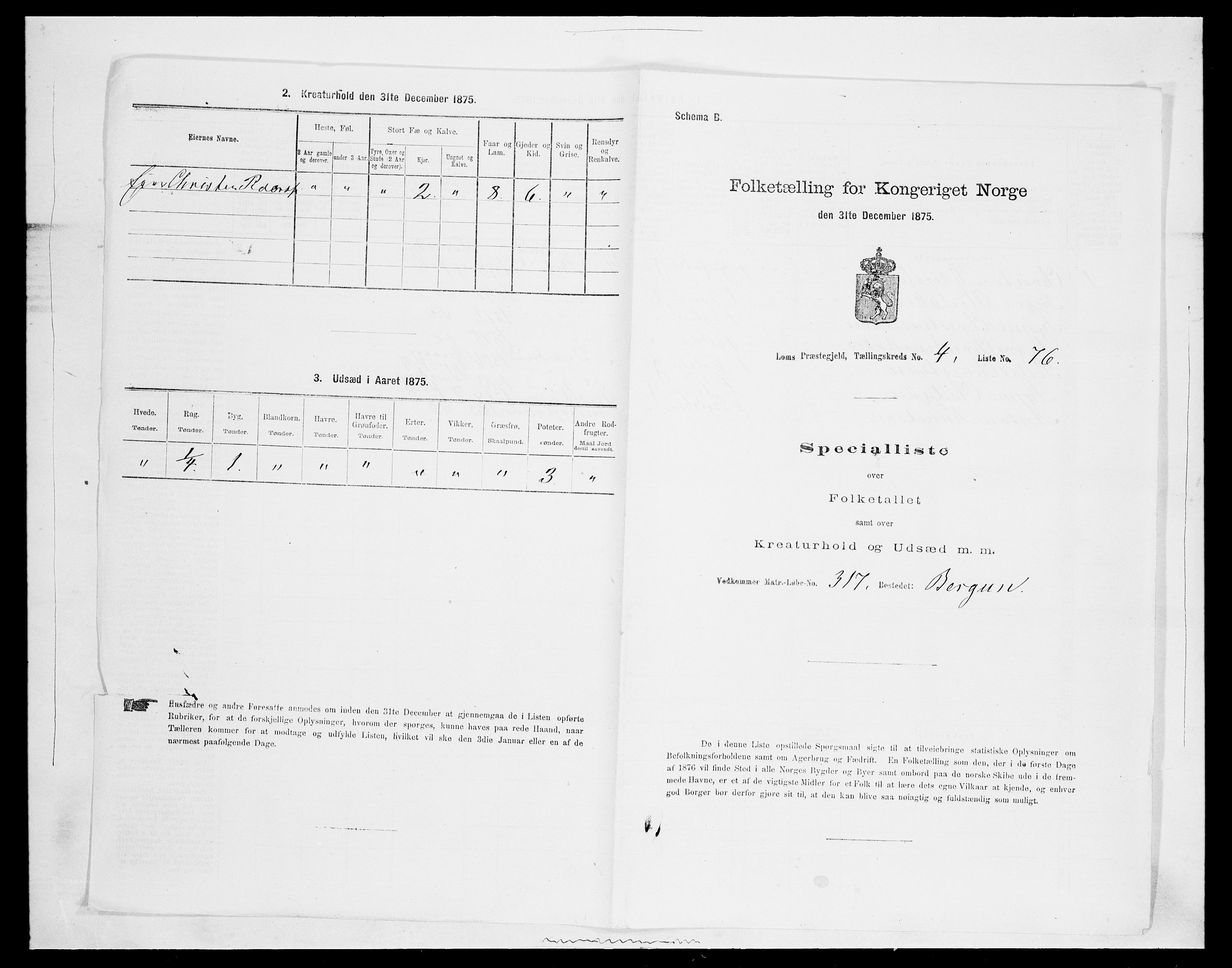 SAH, Folketelling 1875 for 0514P Lom prestegjeld, 1875, s. 741