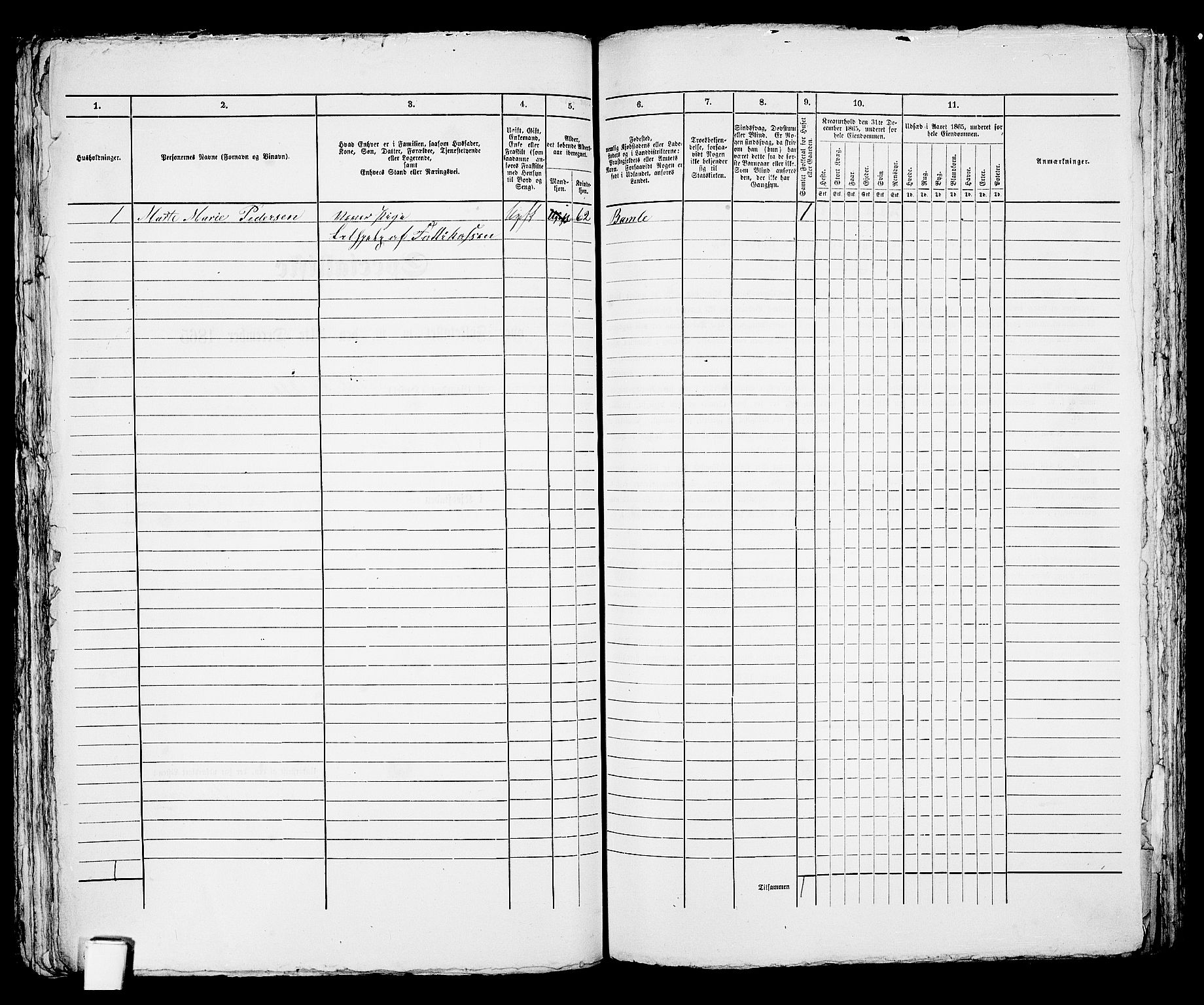 RA, Folketelling 1865 for 0804P Brevik prestegjeld, 1865, s. 209