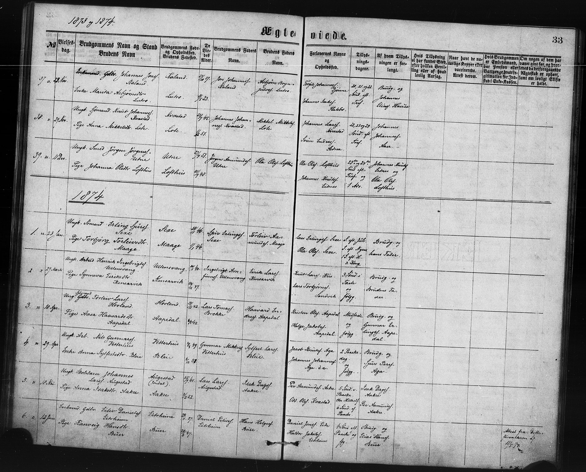 Ullensvang sokneprestembete, AV/SAB-A-78701/H/Haa: Ministerialbok nr. A 14, 1867-1882, s. 33