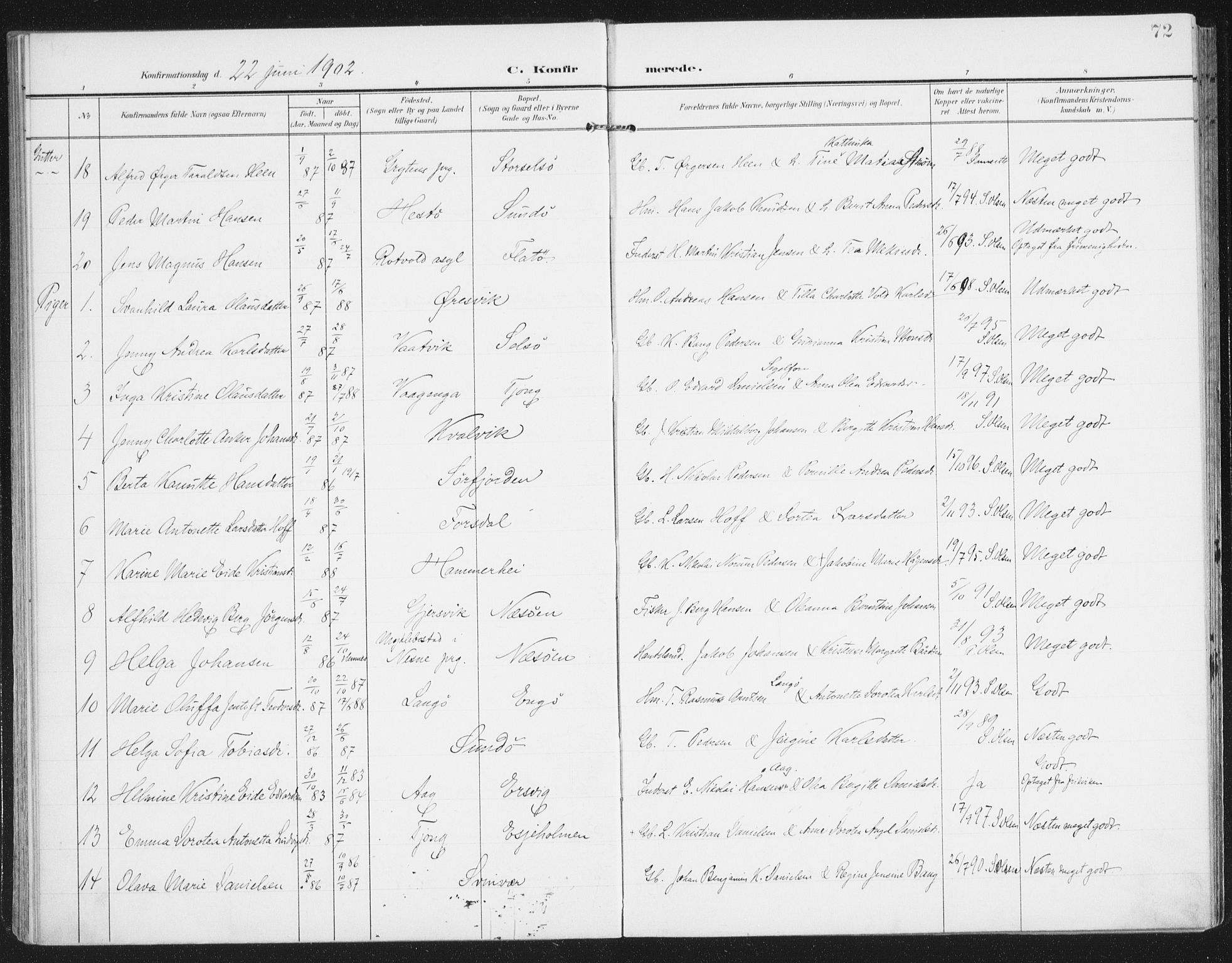 Ministerialprotokoller, klokkerbøker og fødselsregistre - Nordland, AV/SAT-A-1459/841/L0612: Ministerialbok nr. 841A15, 1902-1910, s. 72