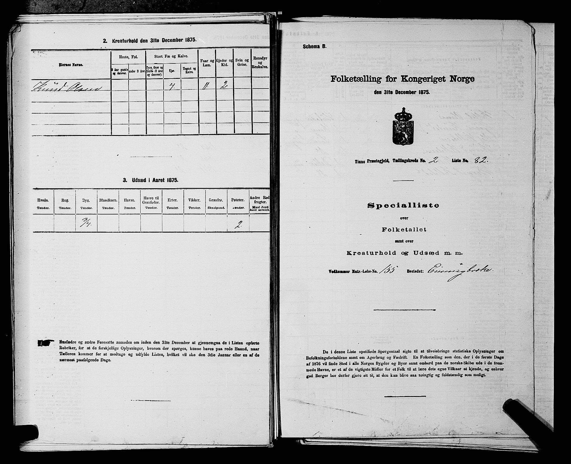 SAKO, Folketelling 1875 for 0826P Tinn prestegjeld, 1875, s. 333