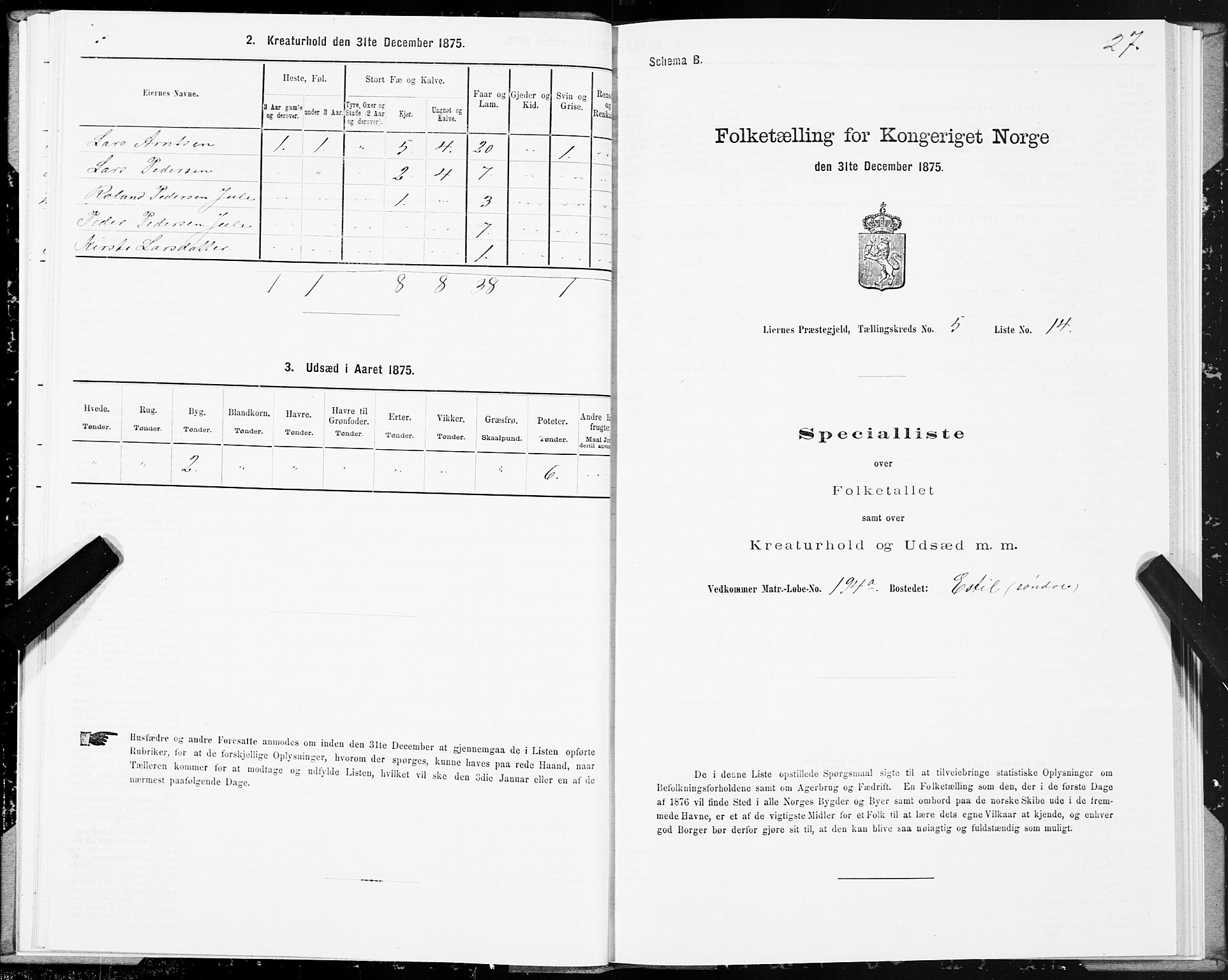 SAT, Folketelling 1875 for 1737P Lierne prestegjeld, 1875, s. 2027