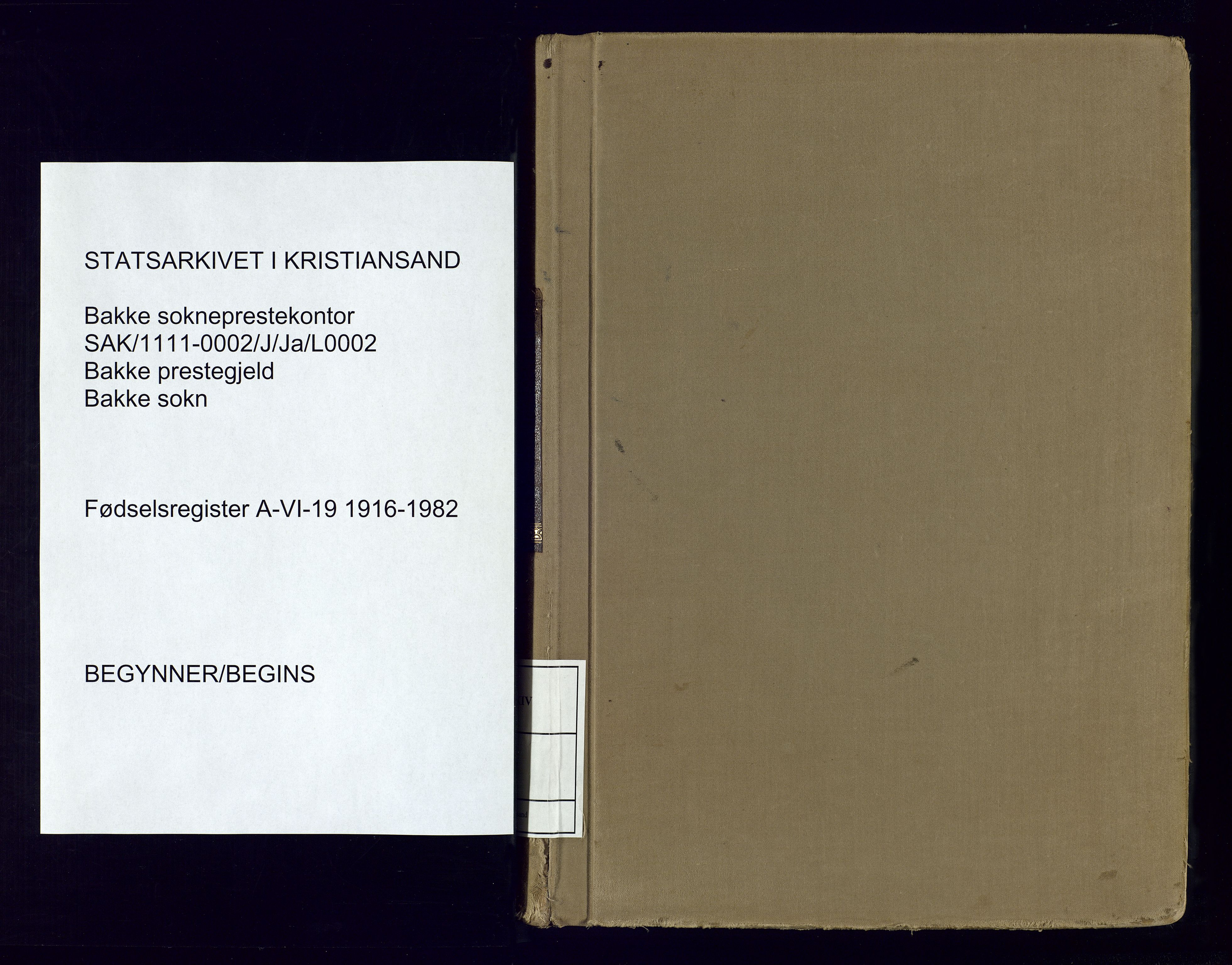 Bakke sokneprestkontor, SAK/1111-0002/J/Ja/L0002: Fødselsregister nr. A-VI-19, 1916-1982