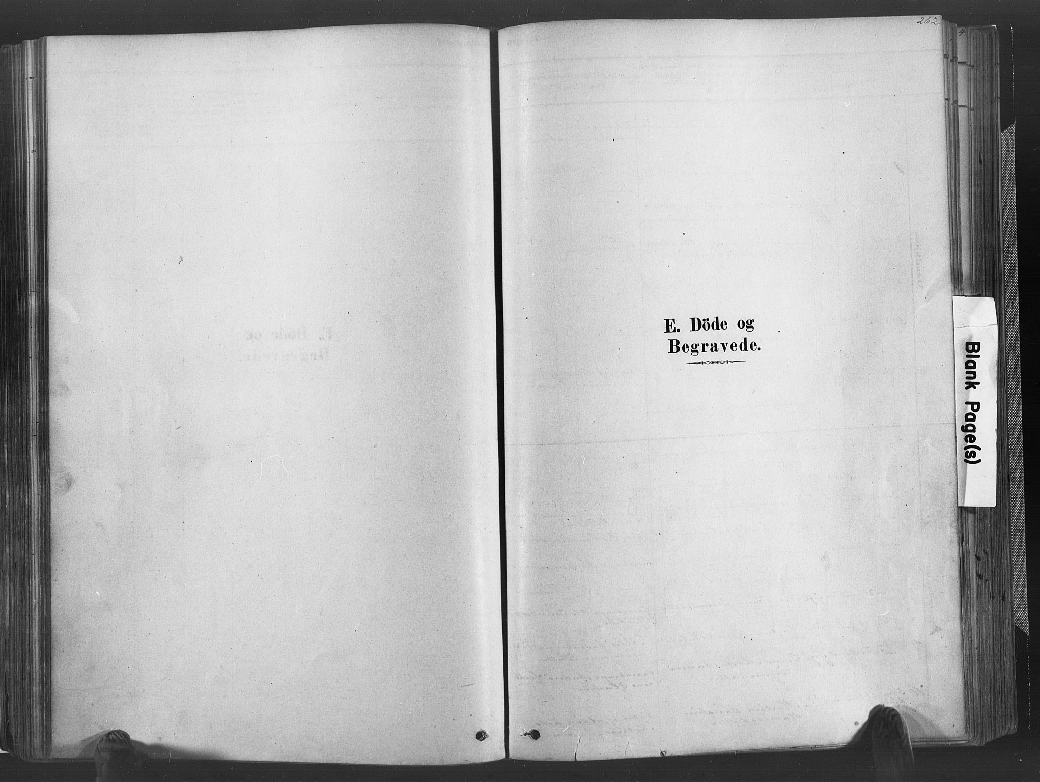 Høvåg sokneprestkontor, SAK/1111-0025/F/Fa/L0005: Ministerialbok nr. A 5, 1878-1893, s. 262