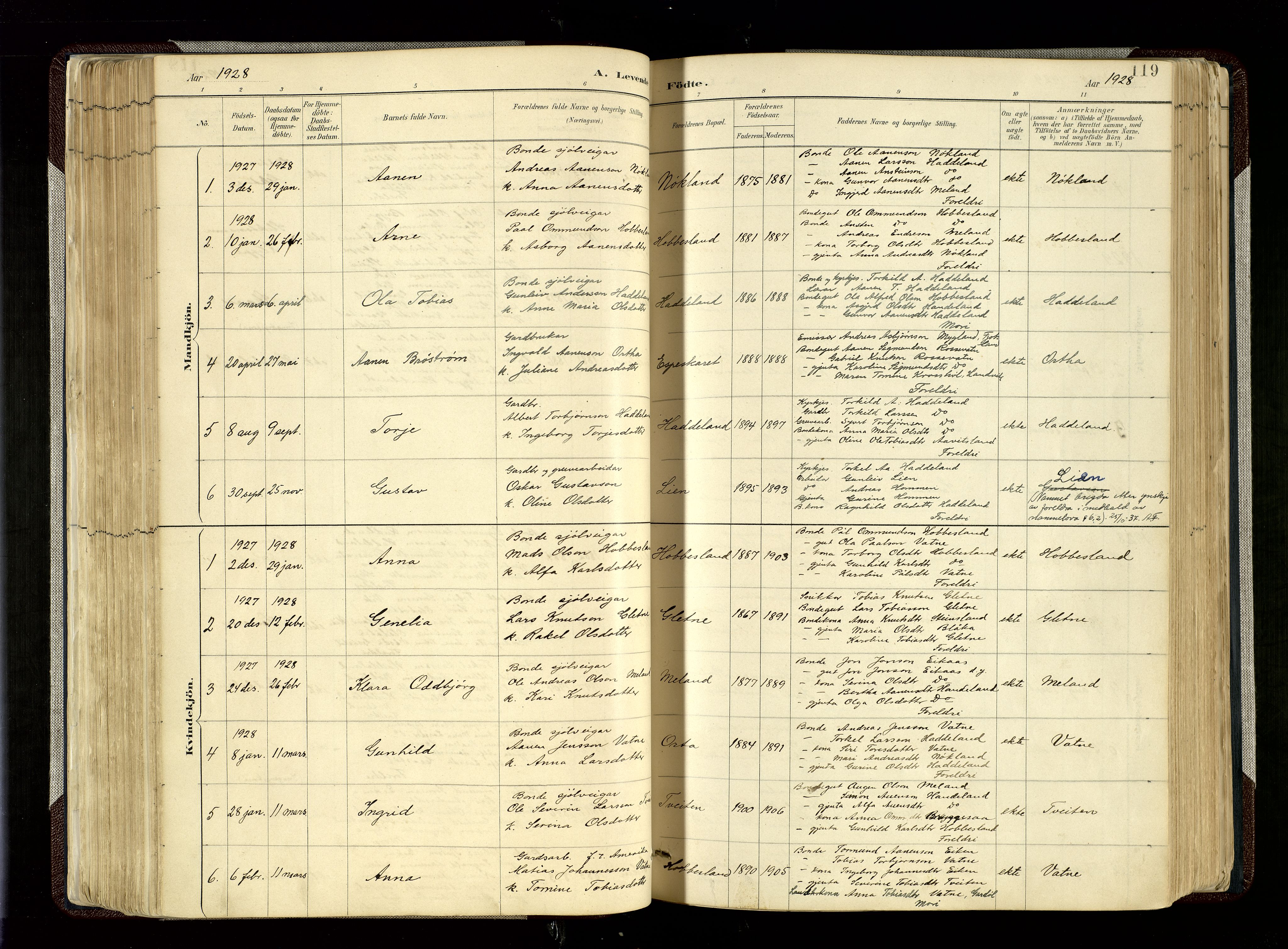 Hægebostad sokneprestkontor, AV/SAK-1111-0024/F/Fa/Fab/L0004: Ministerialbok nr. A 4, 1887-1929, s. 119