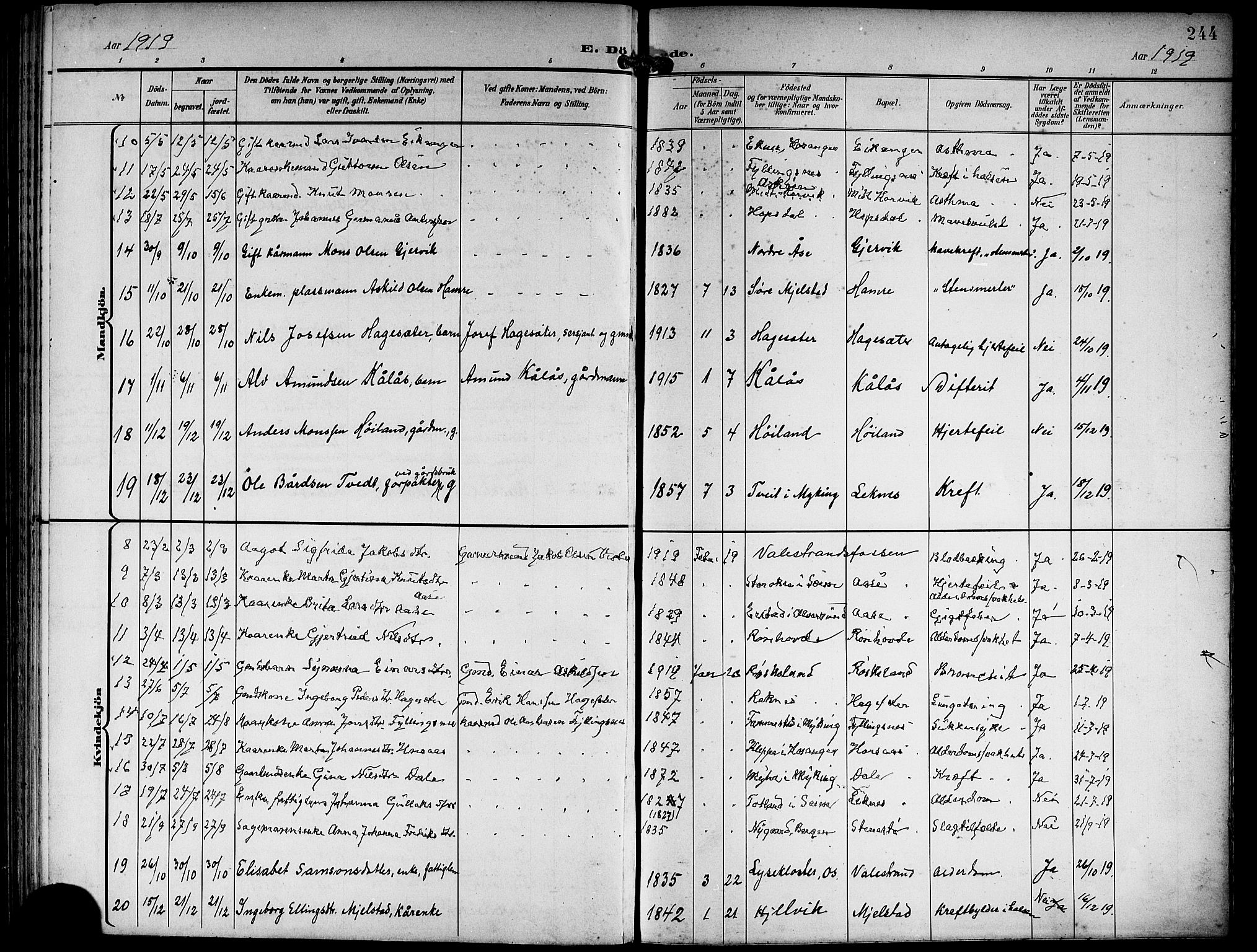 Hamre sokneprestembete, AV/SAB-A-75501/H/Ha/Hab: Klokkerbok nr. B 4, 1898-1919, s. 244