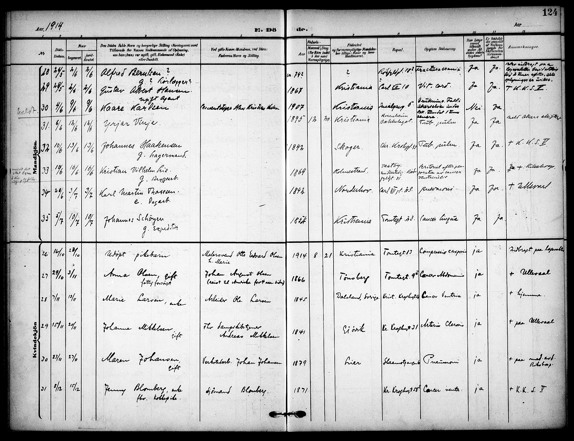 Vaterland prestekontor Kirkebøker, AV/SAO-A-10880/F/Fa/L0002: Ministerialbok nr. 2, 1907-1921, s. 124