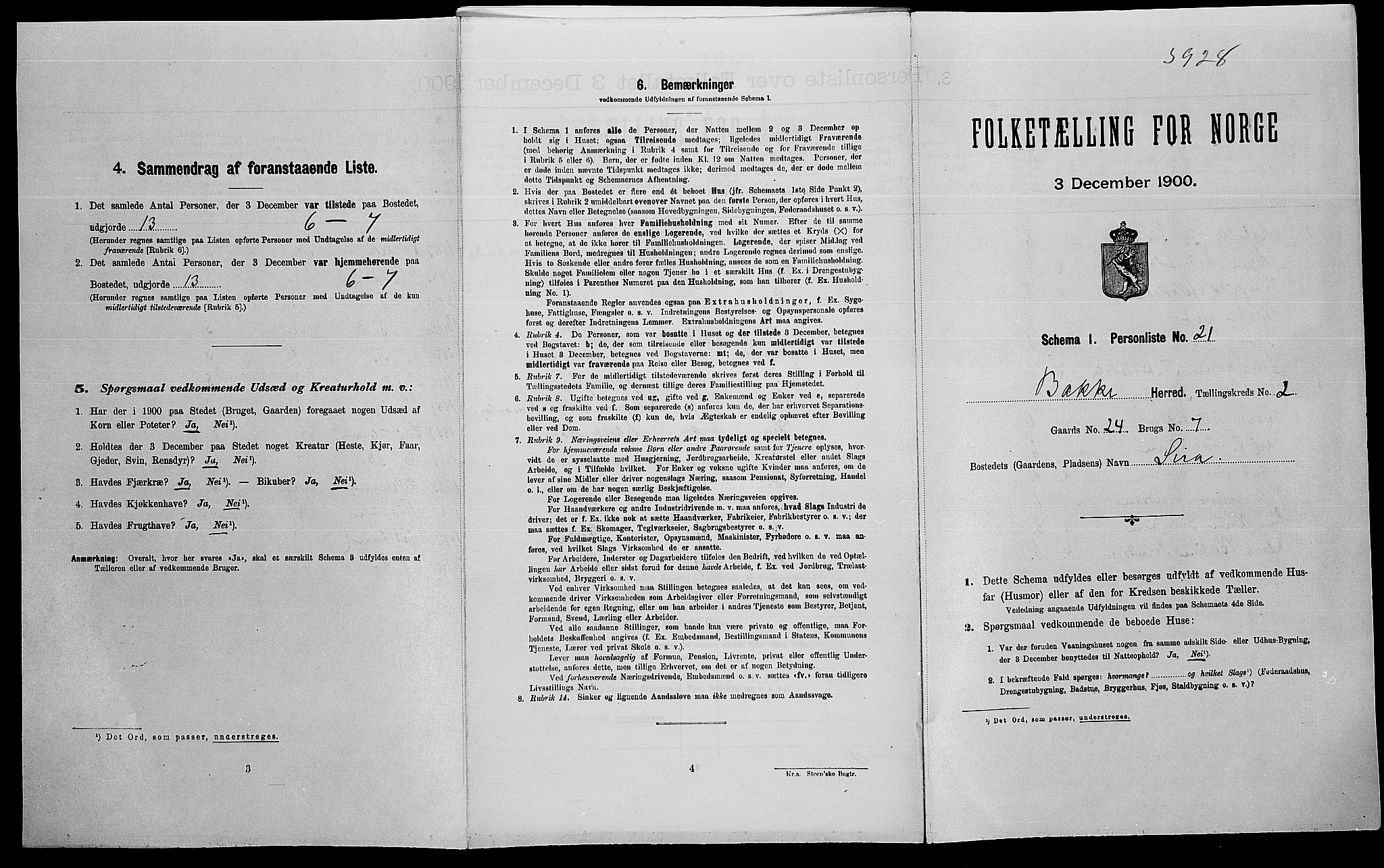 SAK, Folketelling 1900 for 1045 Bakke herred, 1900, s. 219