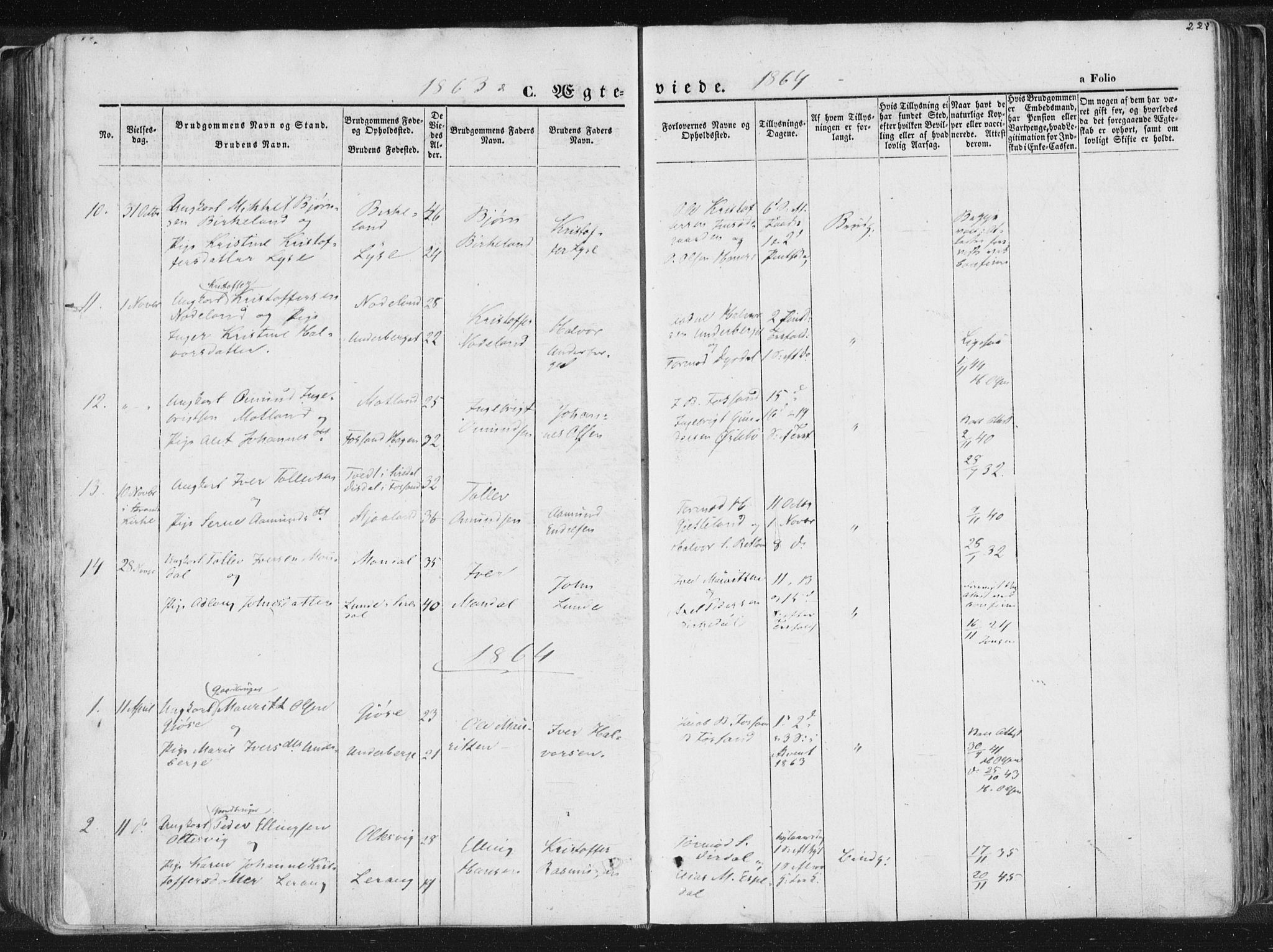 Høgsfjord sokneprestkontor, SAST/A-101624/H/Ha/Haa/L0001: Ministerialbok nr. A 1, 1854-1875, s. 228