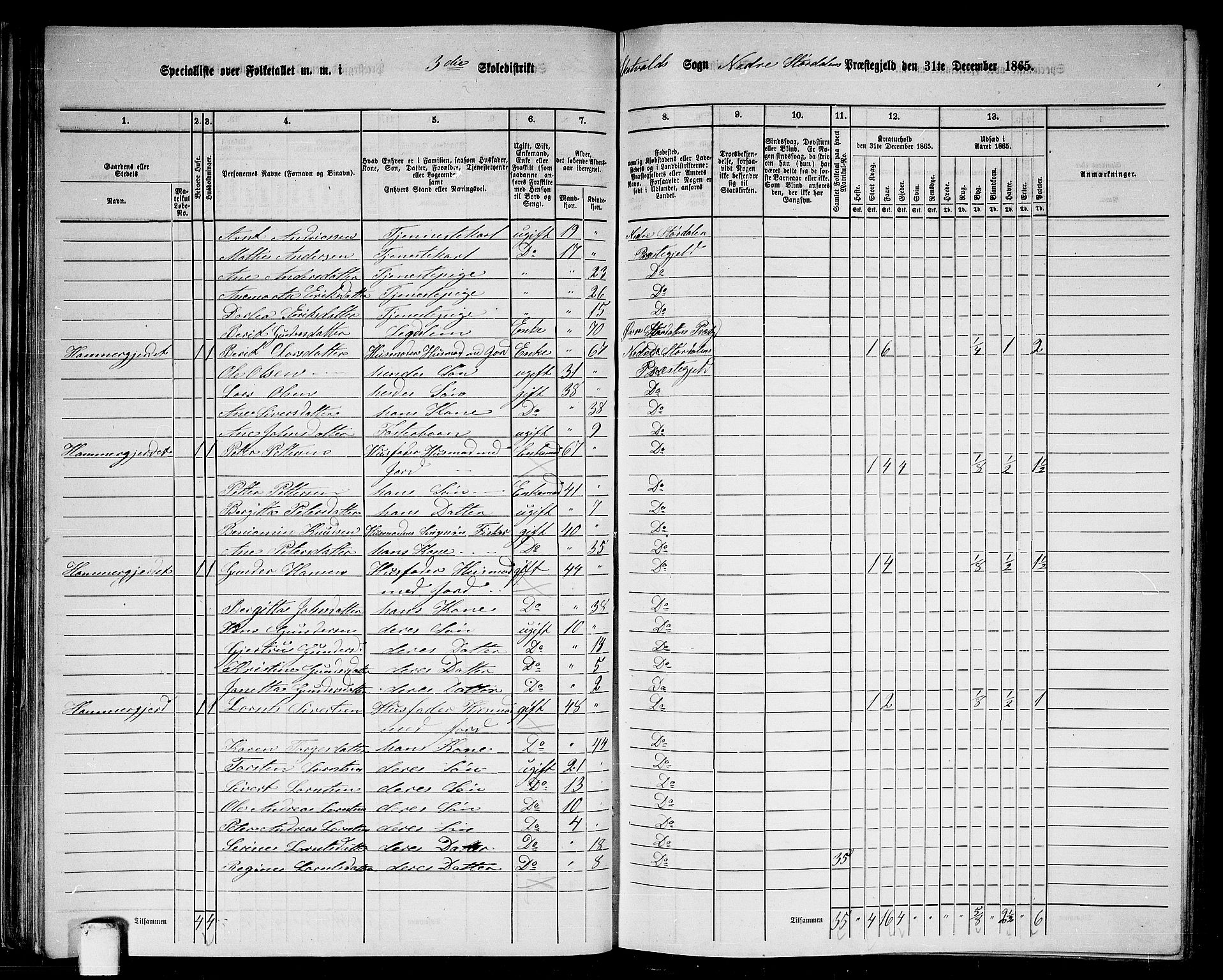 RA, Folketelling 1865 for 1714P Nedre Stjørdal prestegjeld, 1865, s. 55