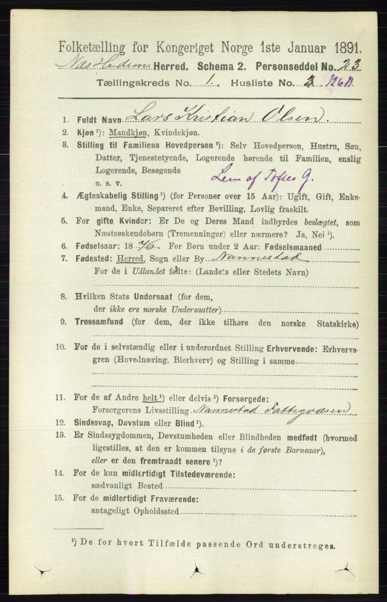 RA, Folketelling 1891 for 0411 Nes herred, 1891, s. 930