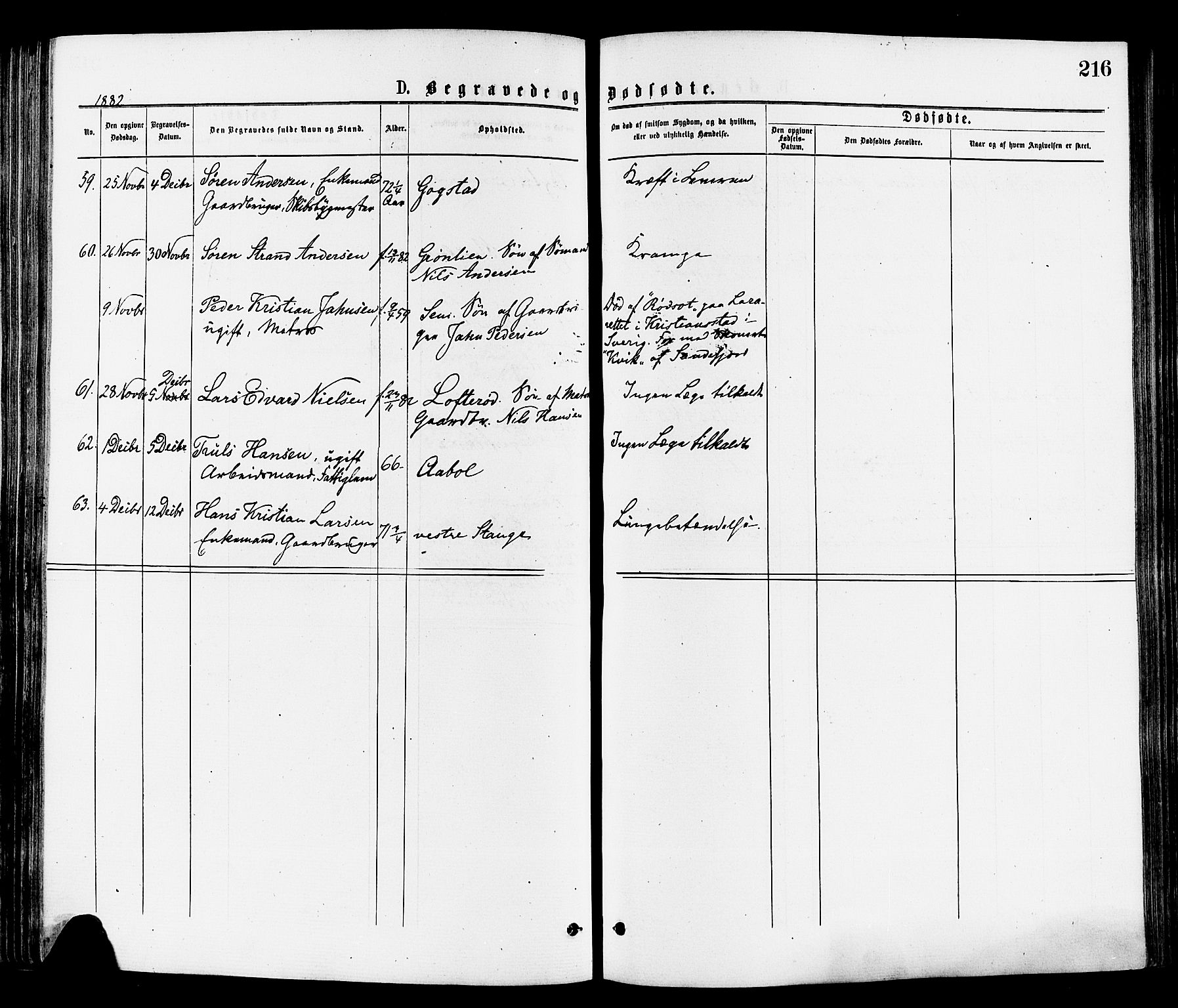 Sandar kirkebøker, AV/SAKO-A-243/F/Fa/L0011: Ministerialbok nr. 11, 1872-1882, s. 216
