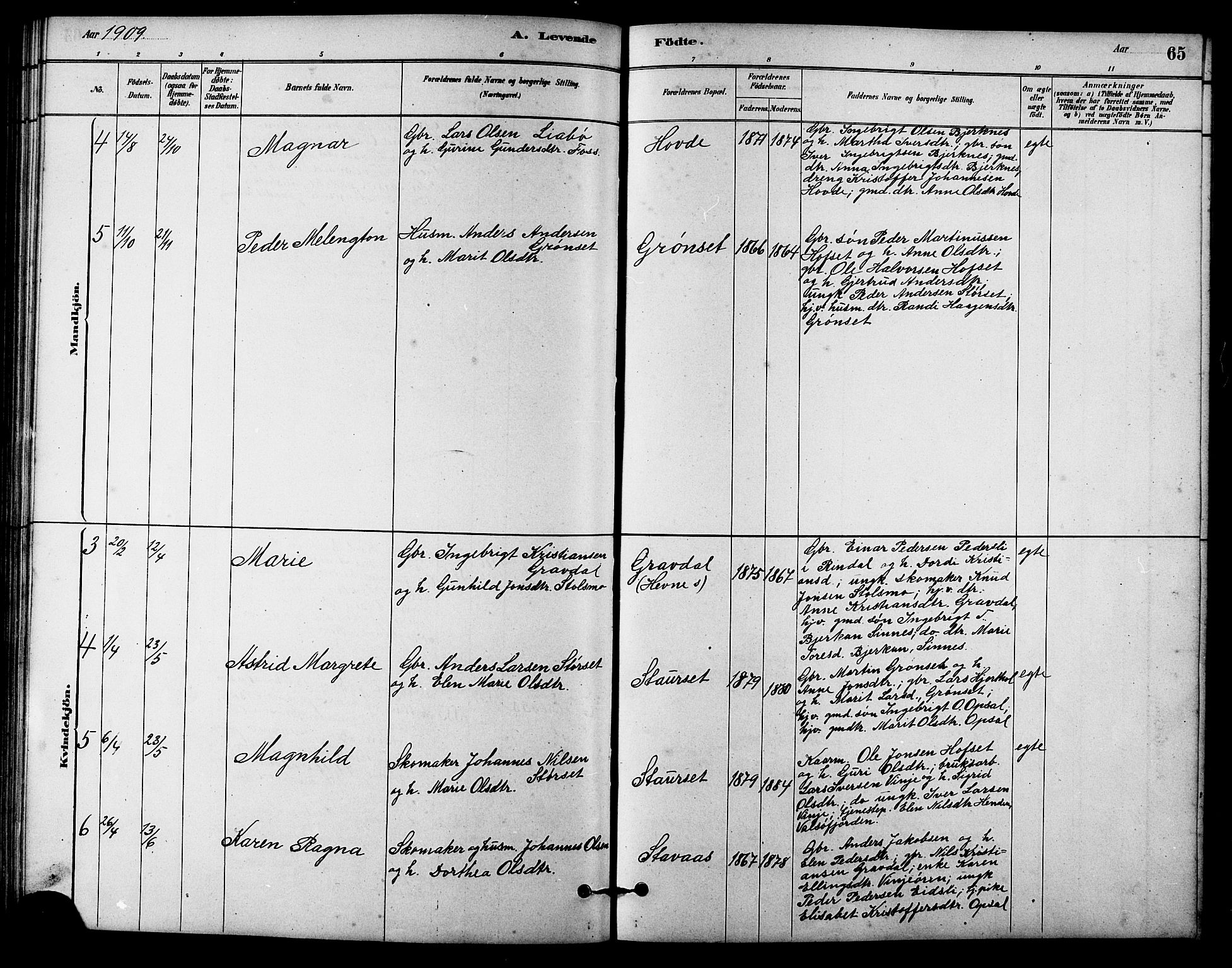 Ministerialprotokoller, klokkerbøker og fødselsregistre - Sør-Trøndelag, SAT/A-1456/631/L0514: Klokkerbok nr. 631C02, 1879-1912, s. 65
