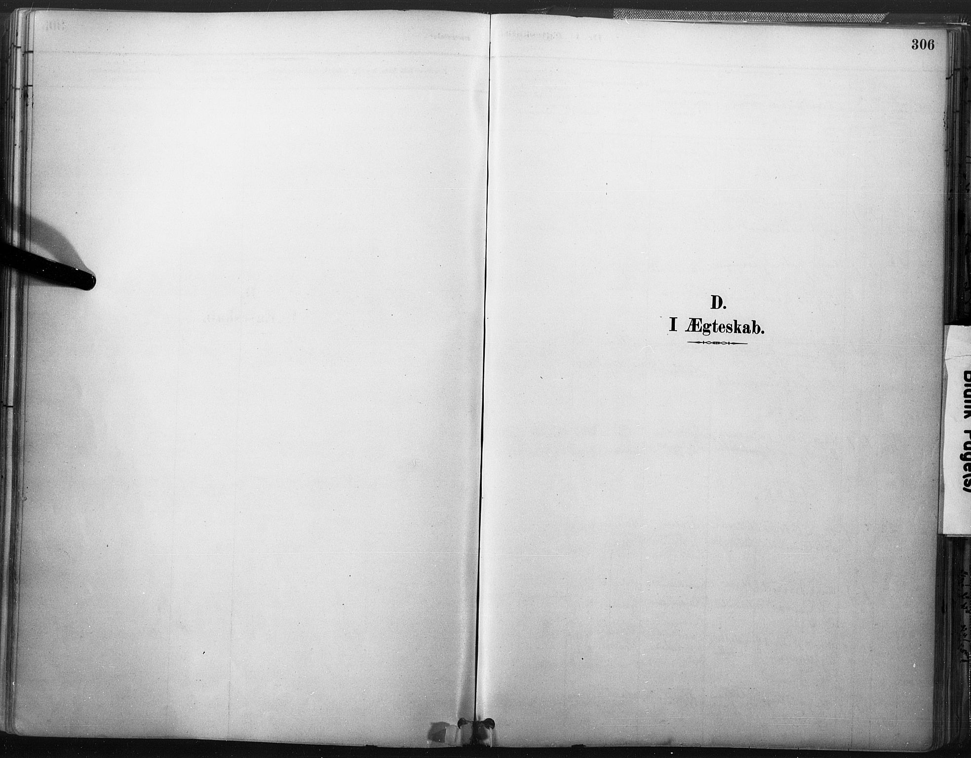 Åmli sokneprestkontor, AV/SAK-1111-0050/F/Fa/Fac/L0010: Ministerialbok nr. A 10 /3, 1885-1899, s. 306