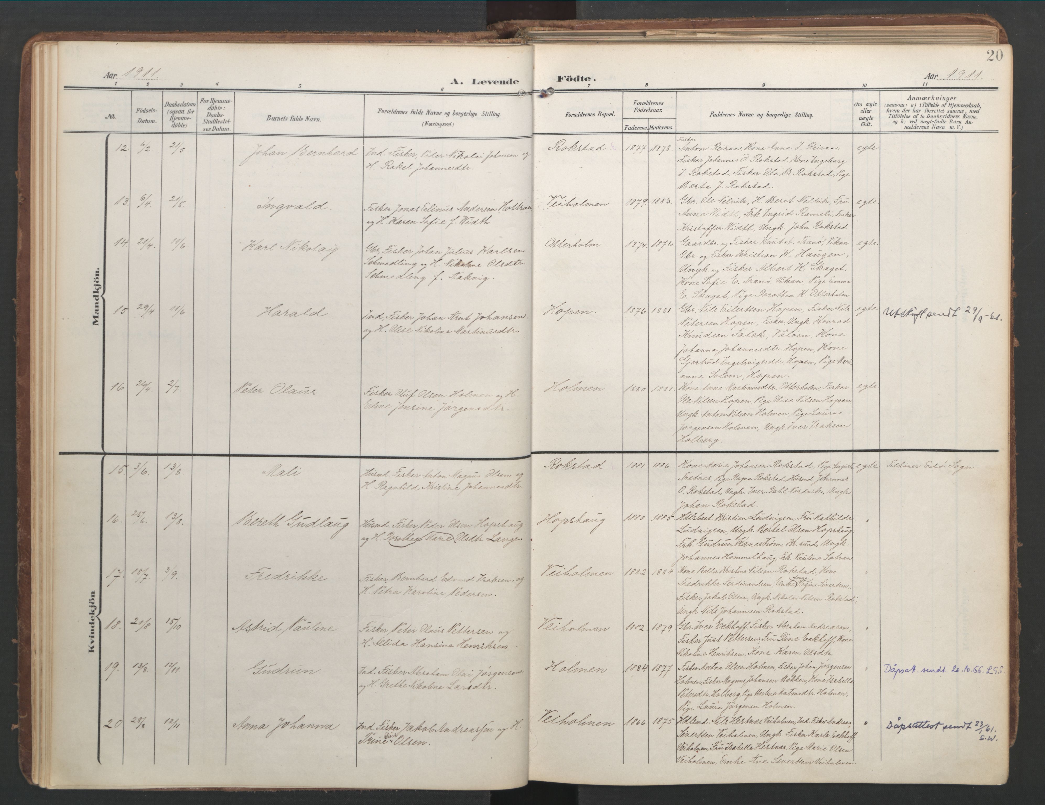 Ministerialprotokoller, klokkerbøker og fødselsregistre - Møre og Romsdal, AV/SAT-A-1454/583/L0955: Ministerialbok nr. 583A02, 1907-1926, s. 20