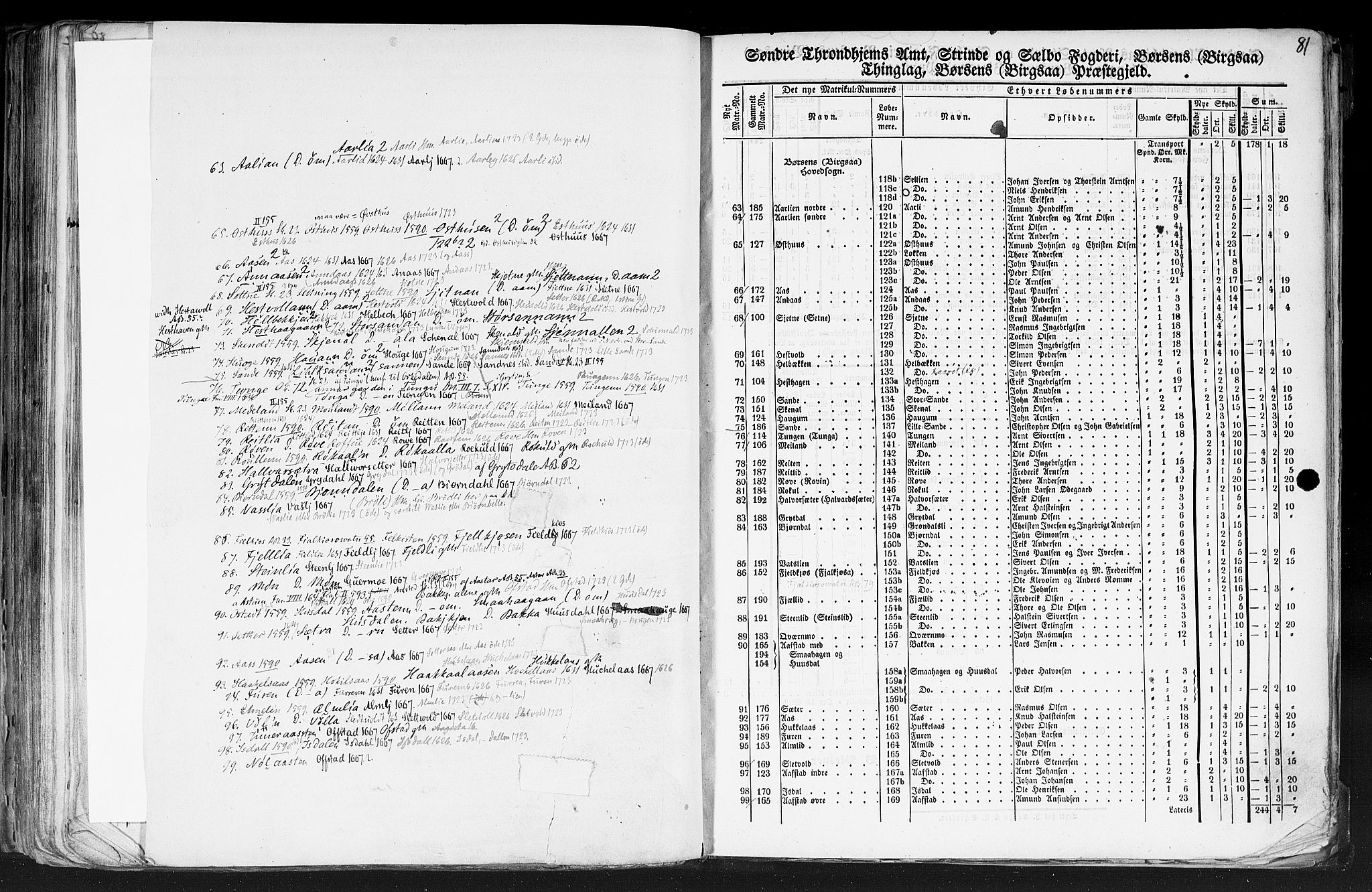 Rygh, AV/RA-PA-0034/F/Fb/L0014: Matrikkelen for 1838 - Søndre Trondhjems amt (Sør-Trøndelag fylke), 1838, s. 81a