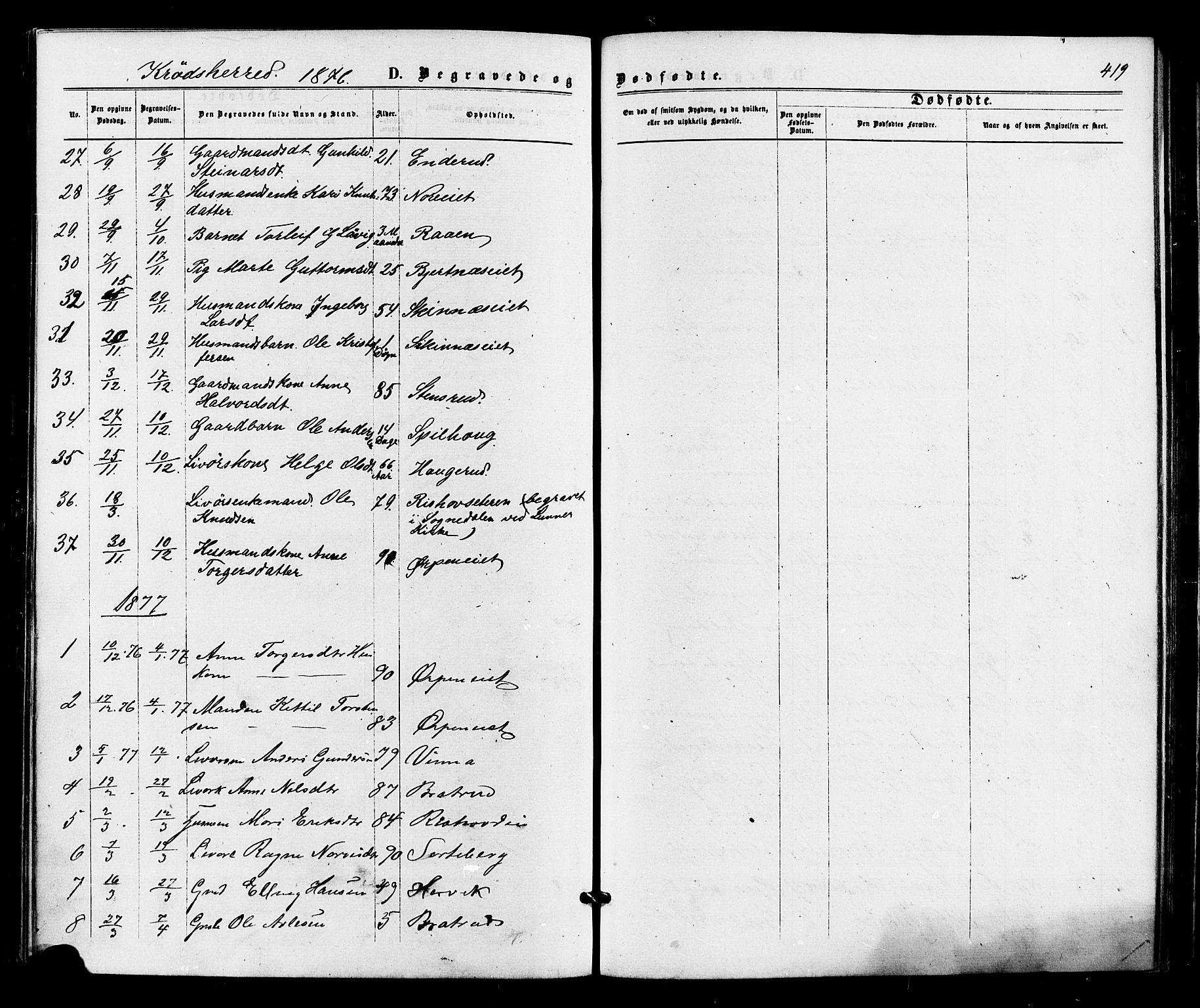 Sigdal kirkebøker, AV/SAKO-A-245/F/Fa/L0010: Ministerialbok nr. I 10 /2, 1872-1878, s. 419