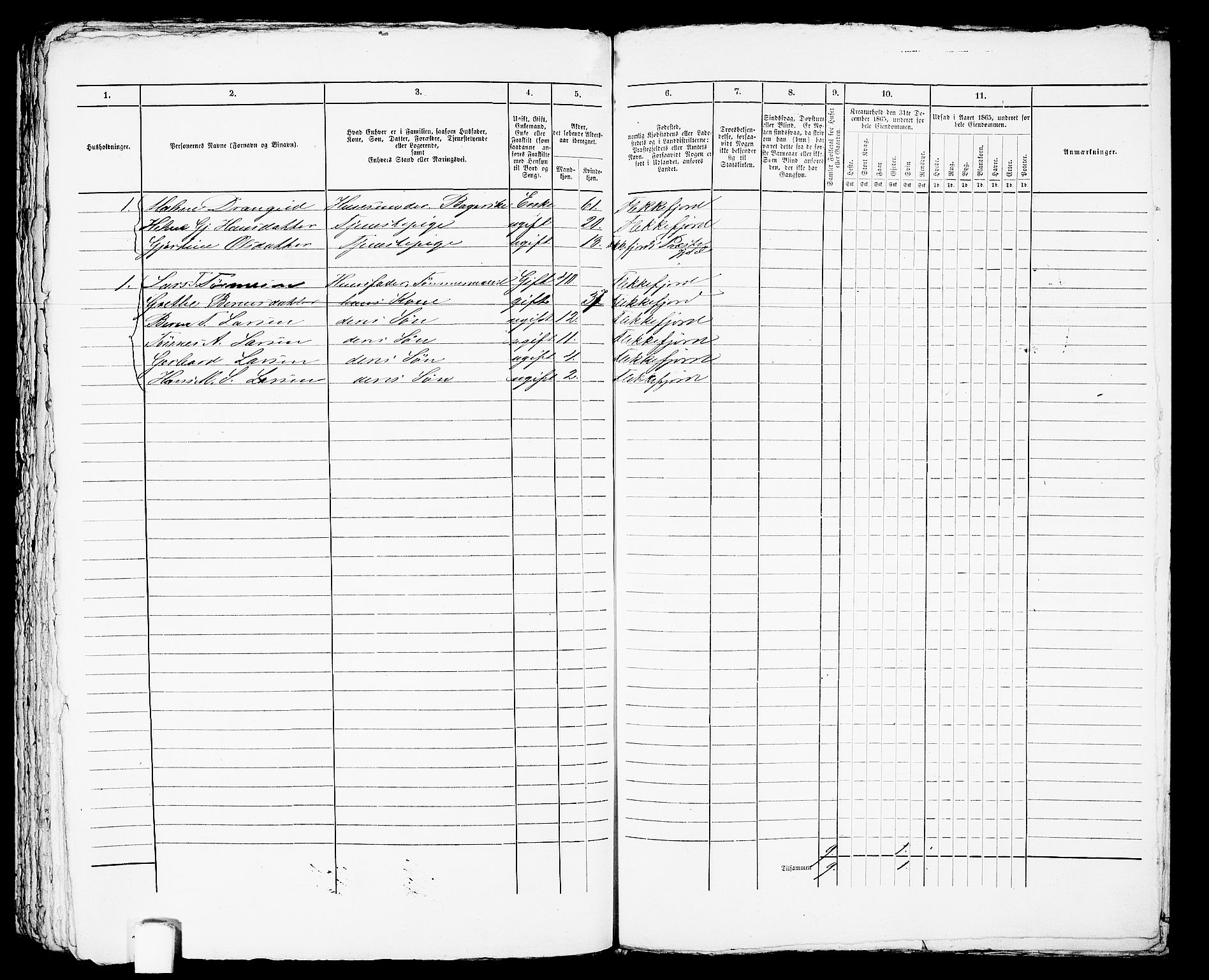 RA, Folketelling 1865 for 1004B Flekkefjord prestegjeld, Flekkefjord kjøpstad, 1865, s. 455