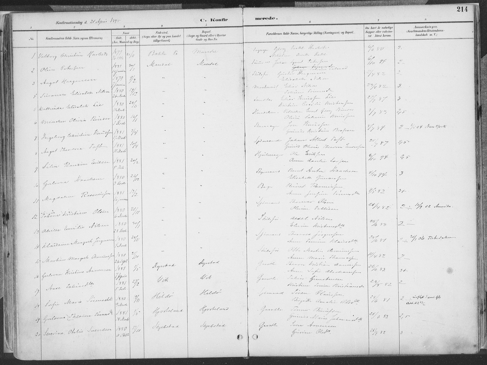 Mandal sokneprestkontor, SAK/1111-0030/F/Fa/Faa/L0018: Ministerialbok nr. A 18, 1890-1905, s. 214