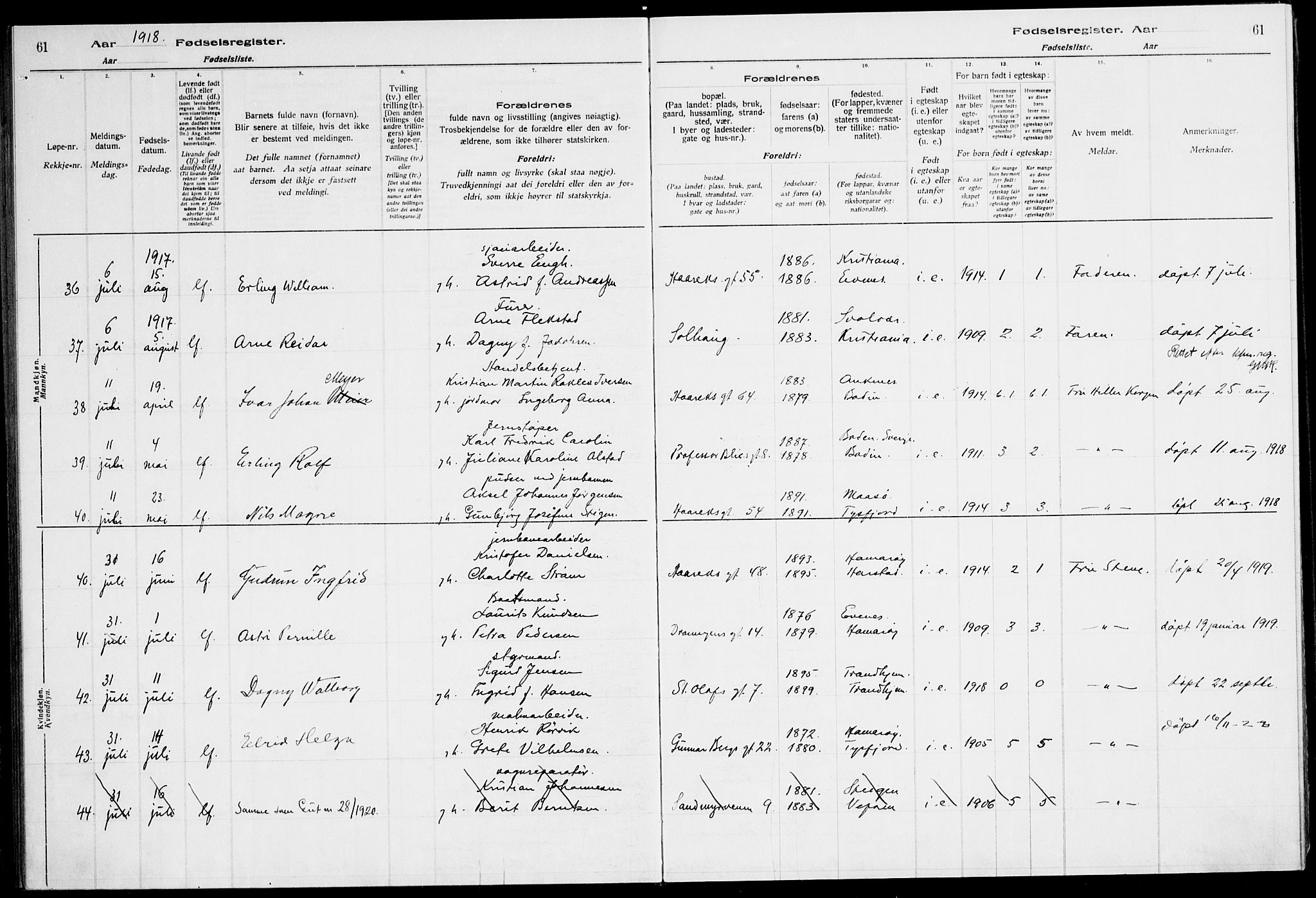 Ministerialprotokoller, klokkerbøker og fødselsregistre - Nordland, SAT/A-1459/871/L1013: Fødselsregister nr. 871.II.4.1, 1916-1924, s. 61