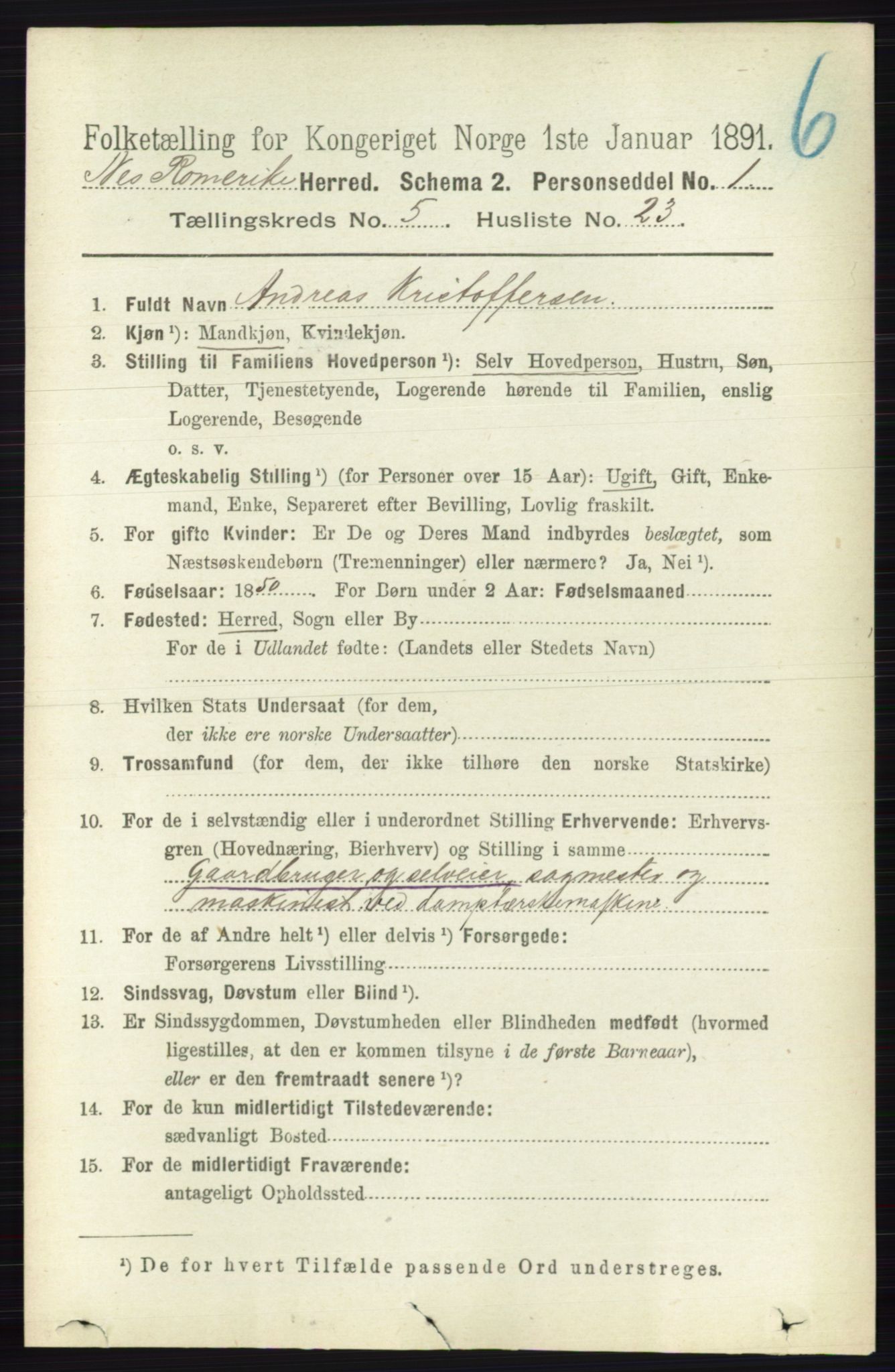 RA, Folketelling 1891 for 0236 Nes herred, 1891, s. 2916
