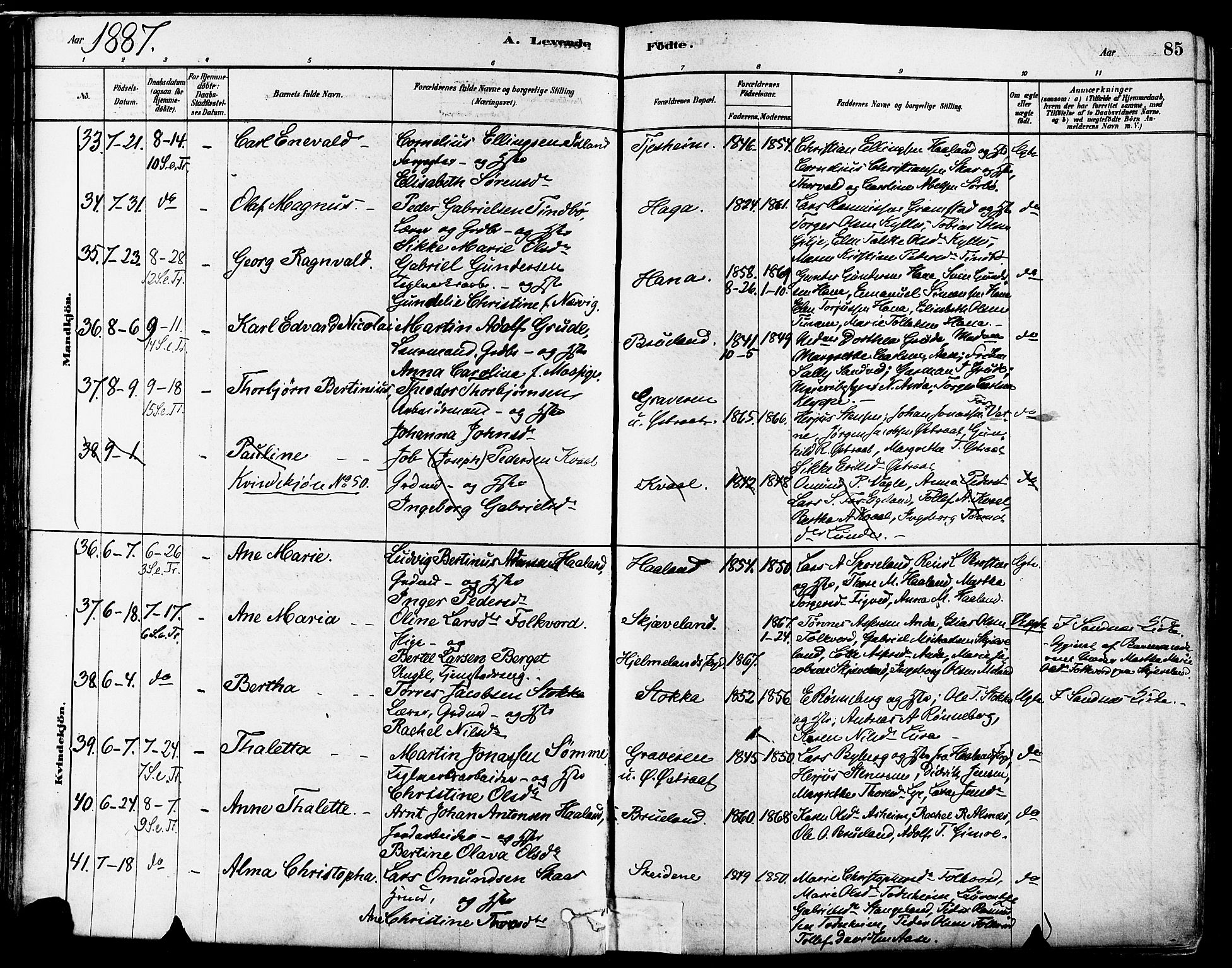 Høyland sokneprestkontor, AV/SAST-A-101799/001/30BA/L0011: Ministerialbok nr. A 10, 1878-1888, s. 85
