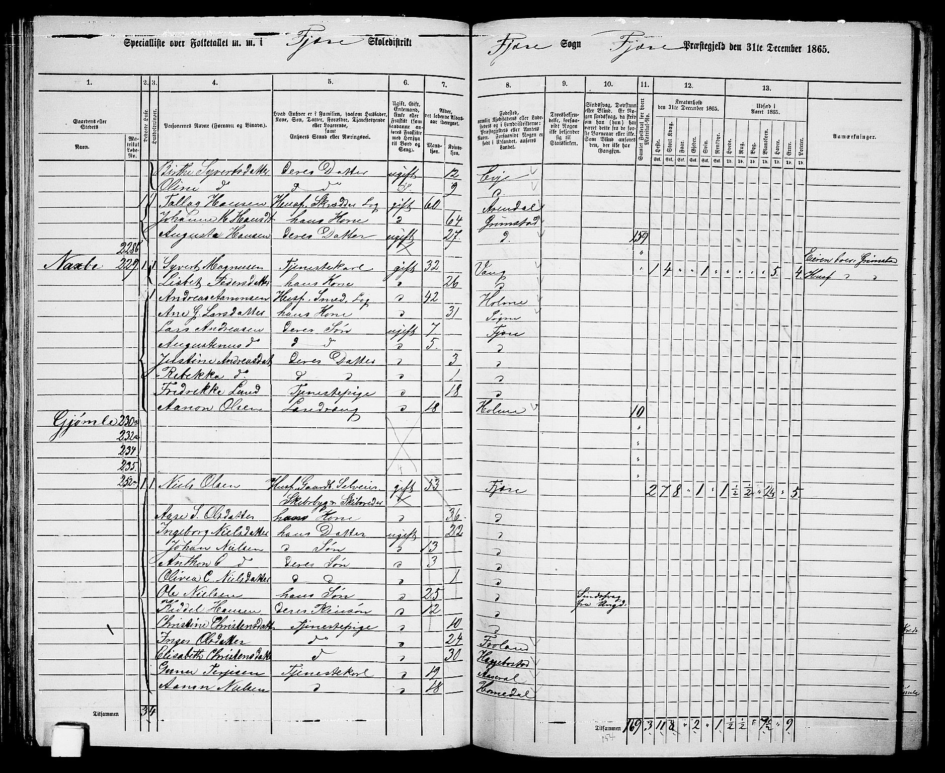 RA, Folketelling 1865 for 0923L Fjære prestegjeld, Fjære sokn, 1865, s. 67