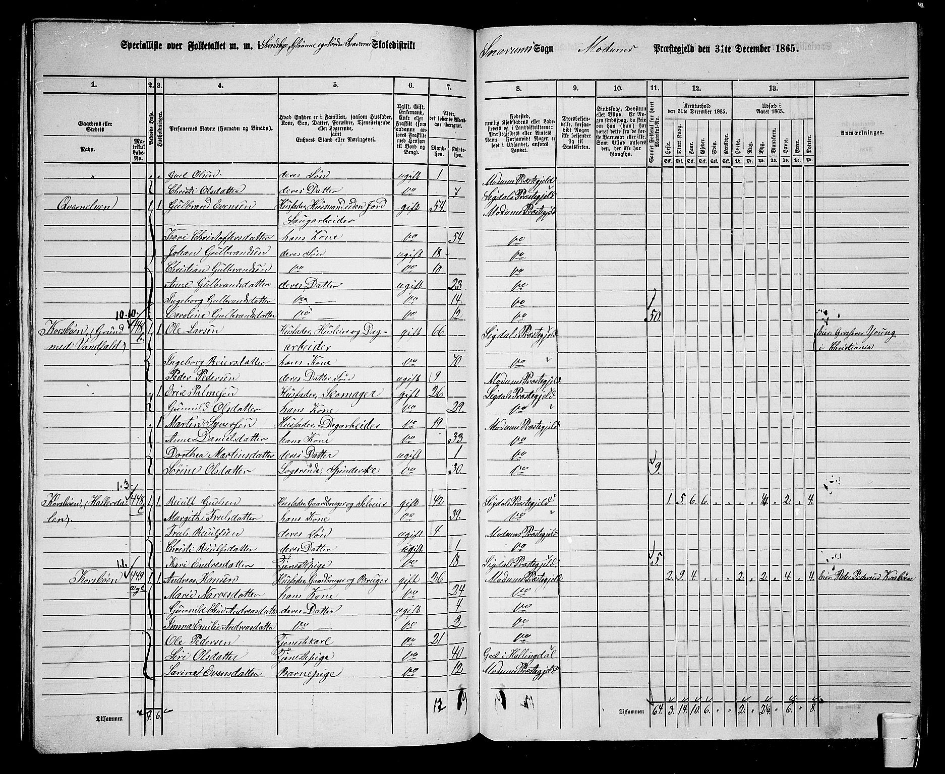 RA, Folketelling 1865 for 0623P Modum prestegjeld, 1865, s. 316
