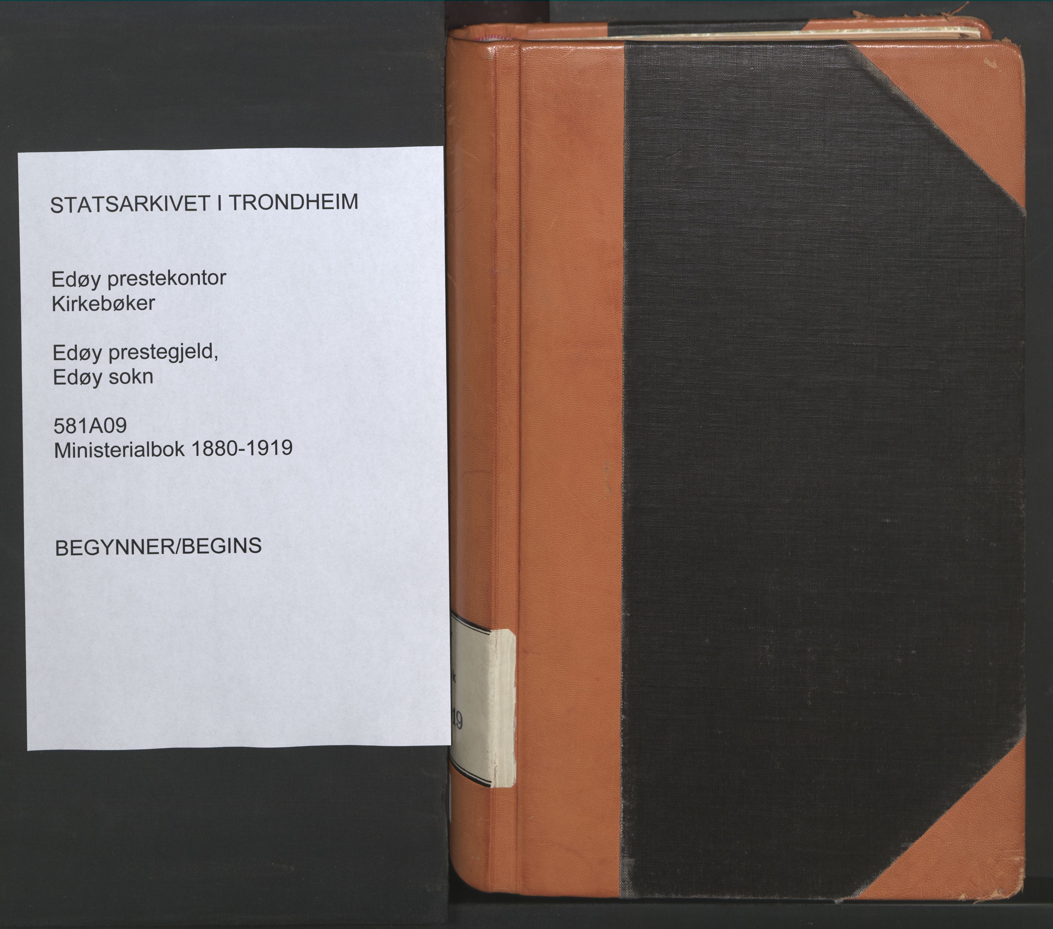 Ministerialprotokoller, klokkerbøker og fødselsregistre - Møre og Romsdal, SAT/A-1454/581/L0941: Ministerialbok nr. 581A09, 1880-1919