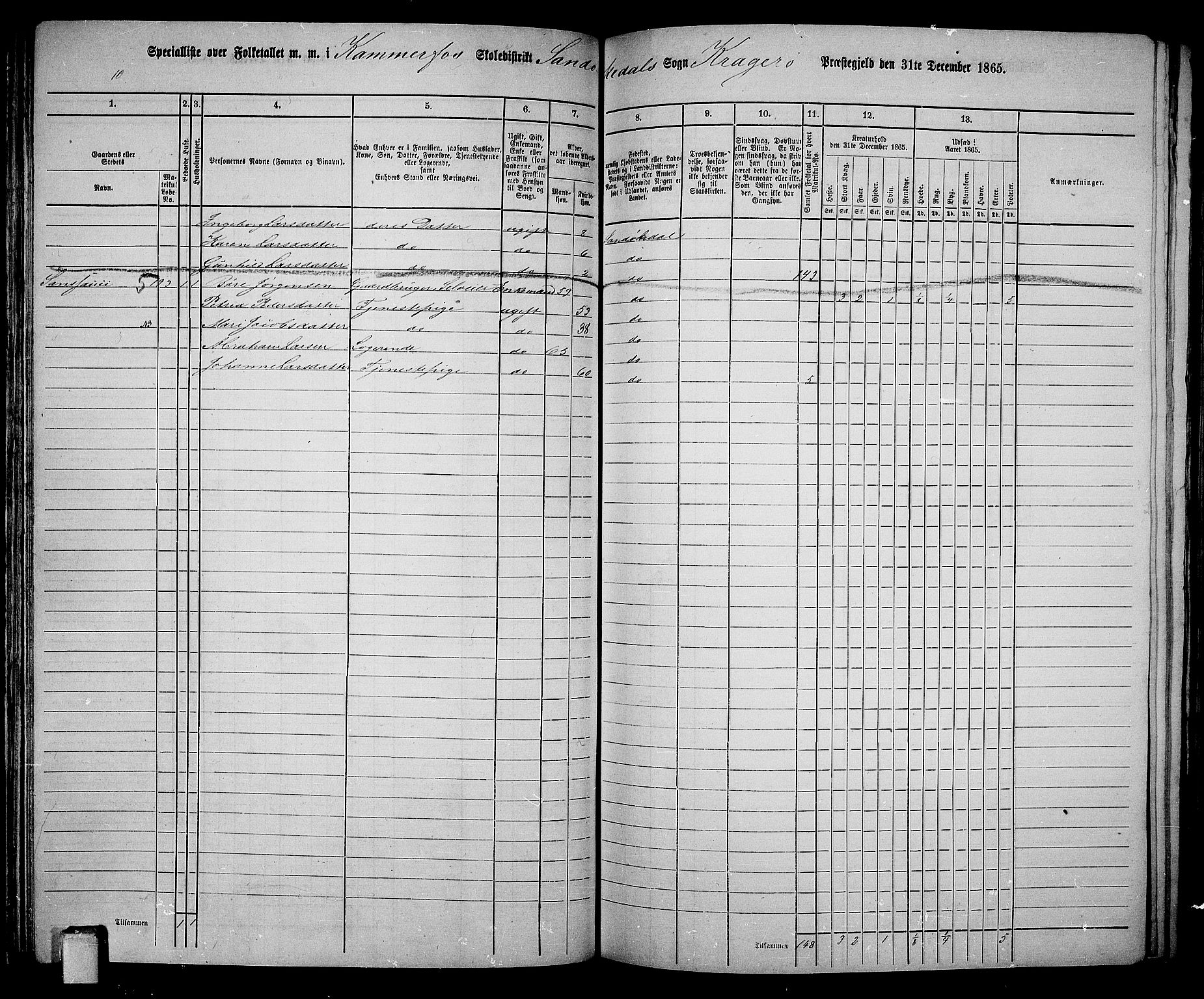 RA, Folketelling 1865 for 0816L Kragerø prestegjeld, Sannidal sokn og Skåtøy sokn, 1865, s. 87