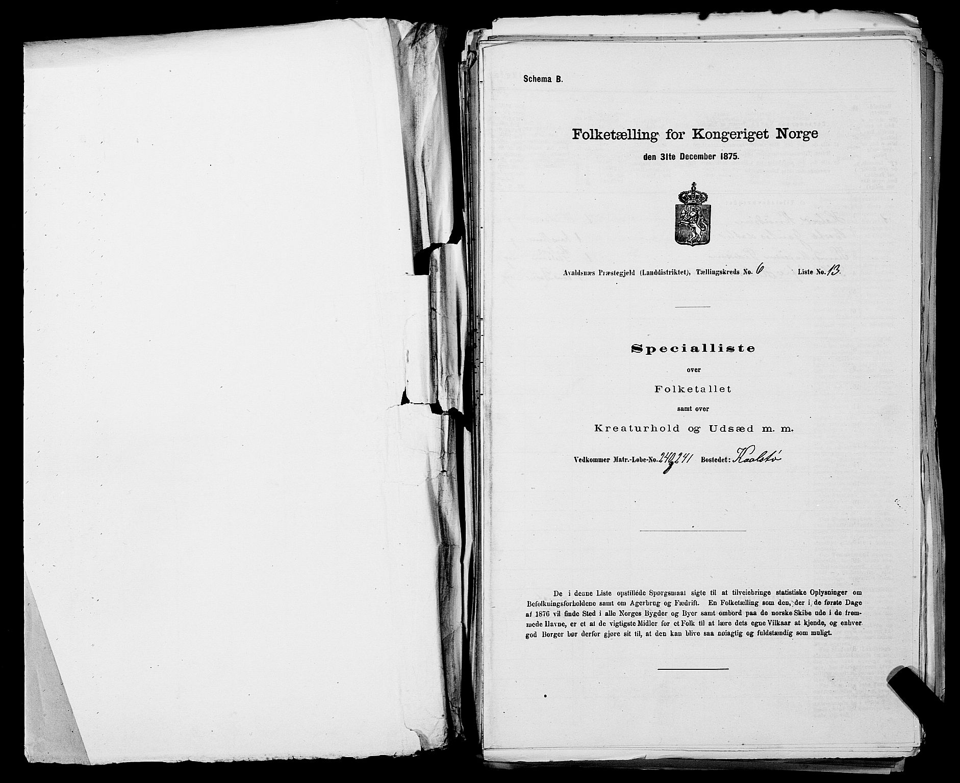 SAST, Folketelling 1875 for 1147L Avaldsnes prestegjeld, Avaldsnes sokn og Kopervik landsokn, 1875, s. 899