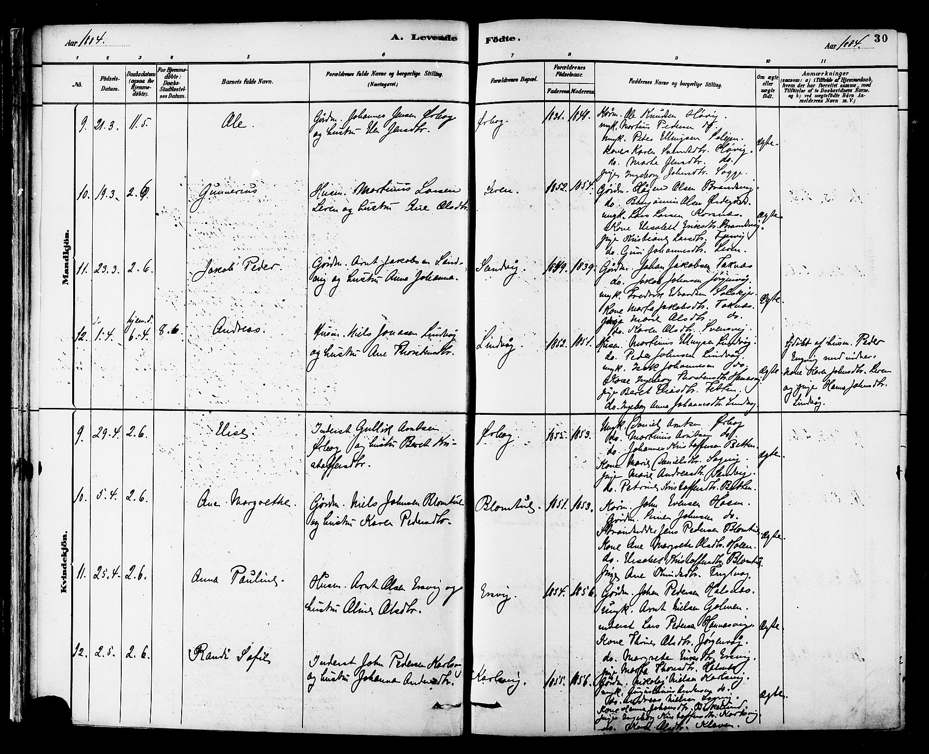 Ministerialprotokoller, klokkerbøker og fødselsregistre - Møre og Romsdal, AV/SAT-A-1454/577/L0896: Ministerialbok nr. 577A03, 1880-1898, s. 30