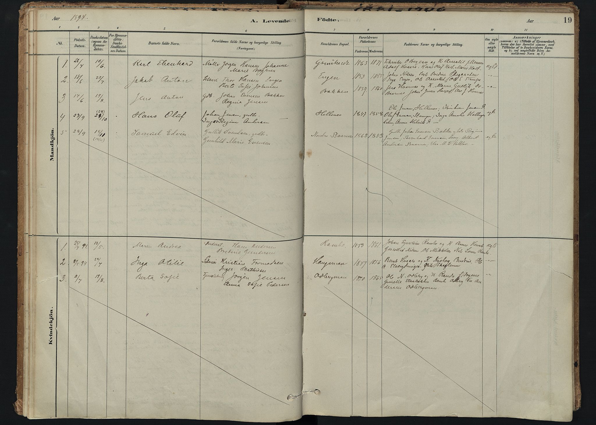 Hedrum kirkebøker, AV/SAKO-A-344/F/Fc/L0001: Ministerialbok nr. III 1, 1881-1906, s. 19