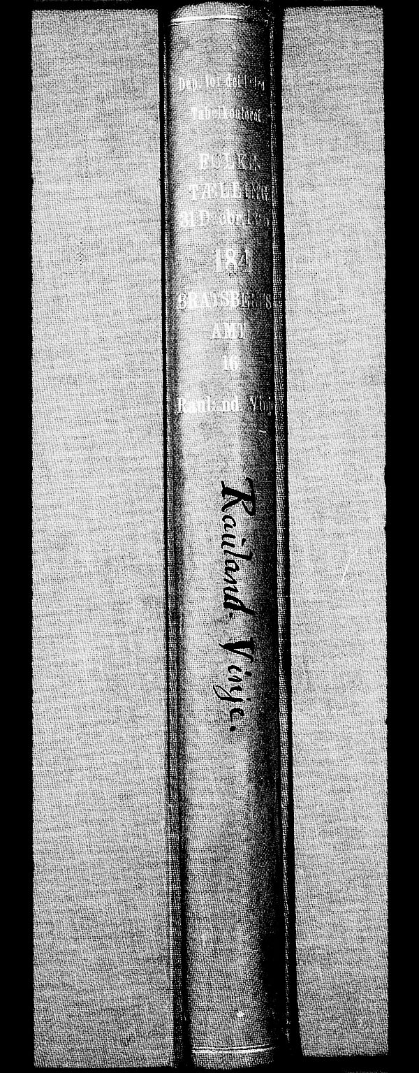 RA, Folketelling 1865 for 0835P Rauland prestegjeld, 1865, s. 2