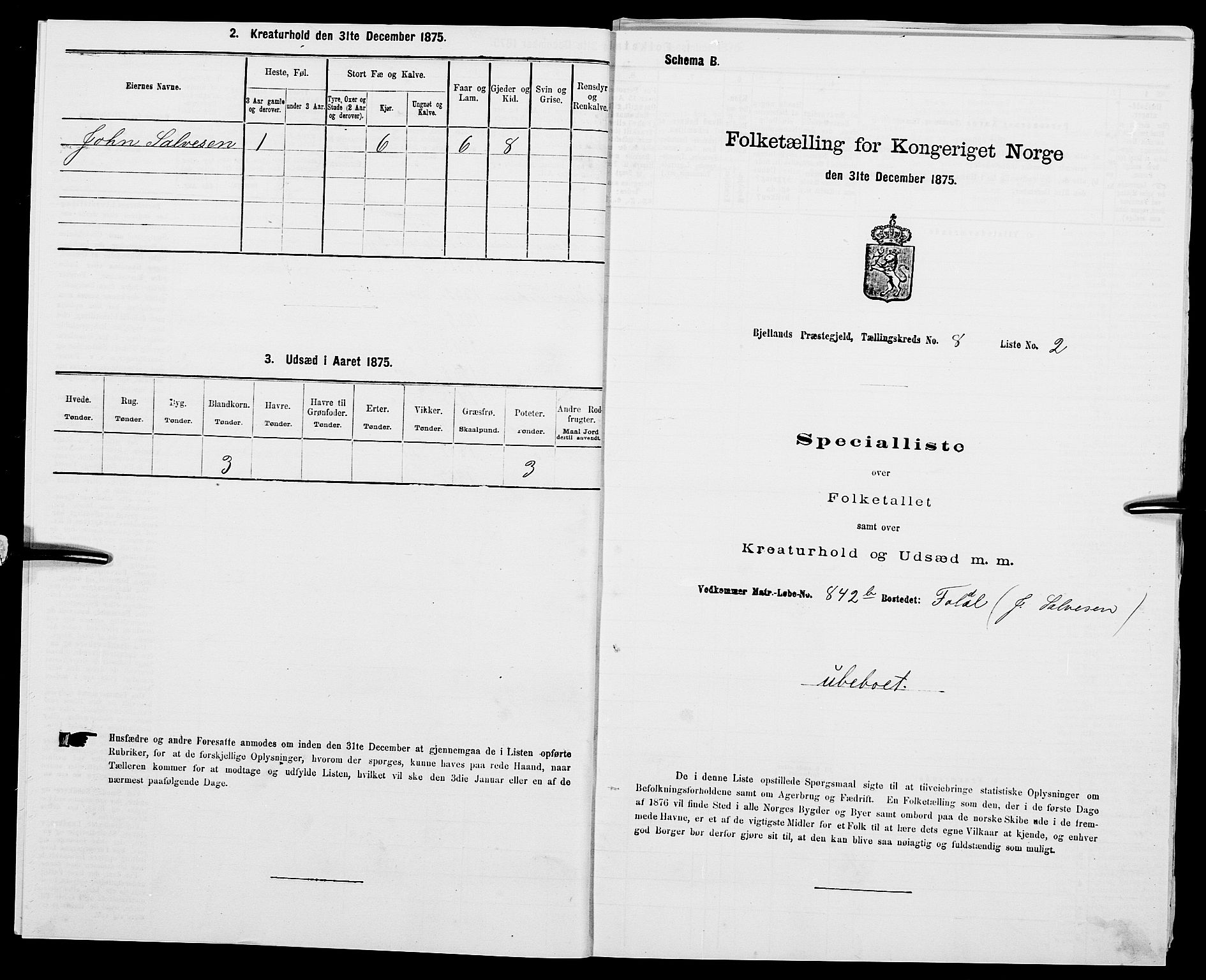 SAK, Folketelling 1875 for 1024P Bjelland prestegjeld, 1875, s. 894