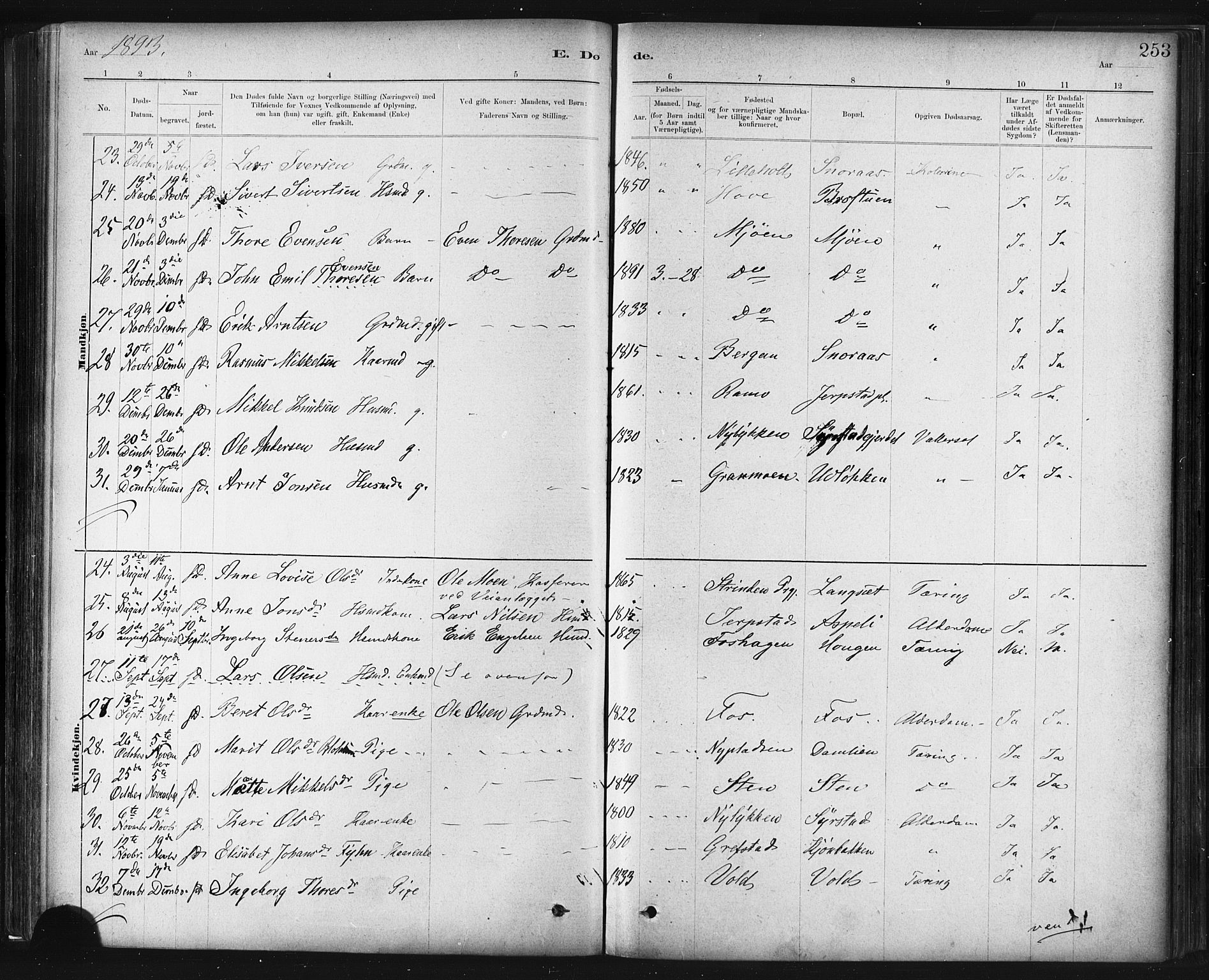 Ministerialprotokoller, klokkerbøker og fødselsregistre - Sør-Trøndelag, SAT/A-1456/672/L0857: Ministerialbok nr. 672A09, 1882-1893, s. 253