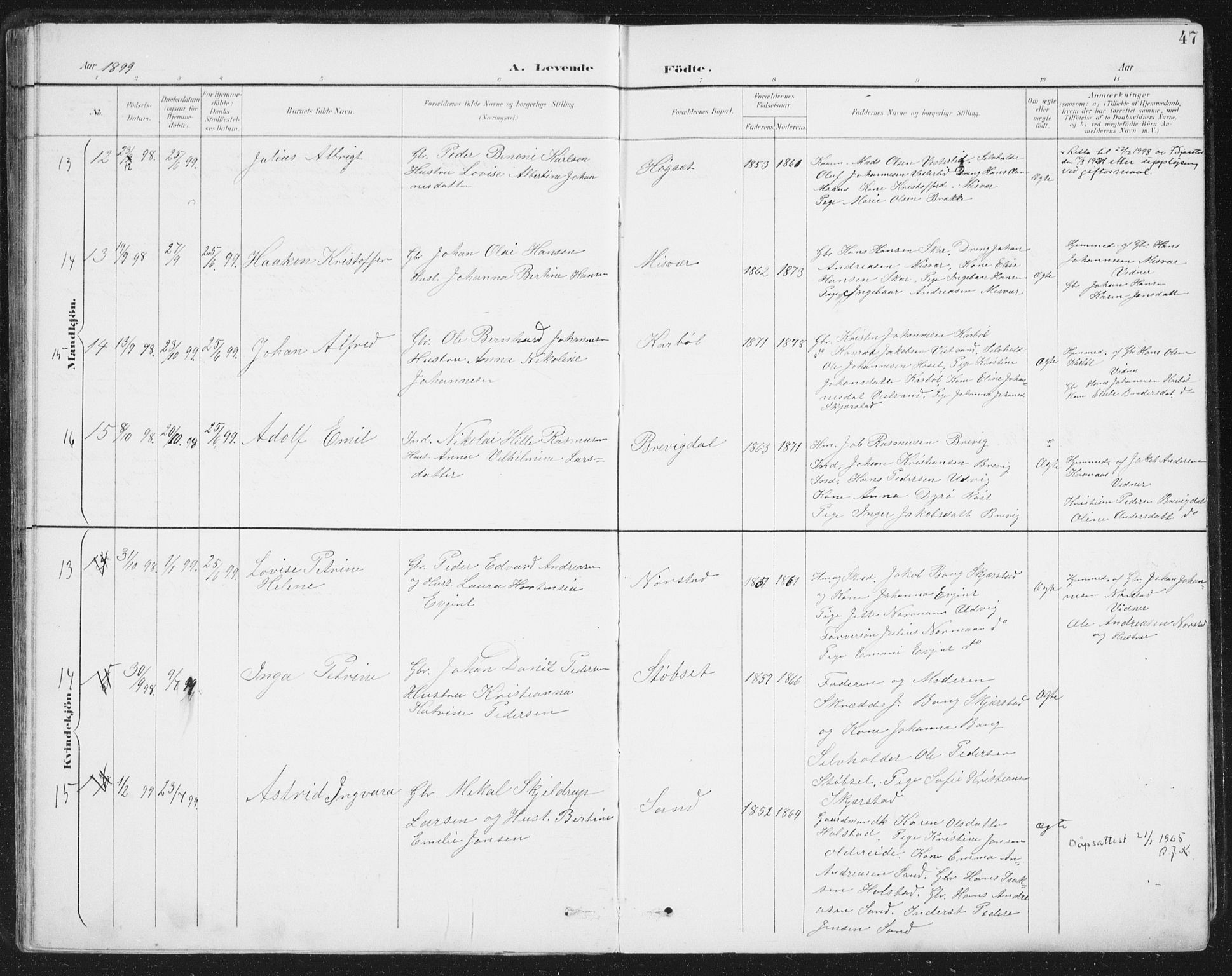 Ministerialprotokoller, klokkerbøker og fødselsregistre - Nordland, AV/SAT-A-1459/852/L0741: Ministerialbok nr. 852A11, 1894-1917, s. 47